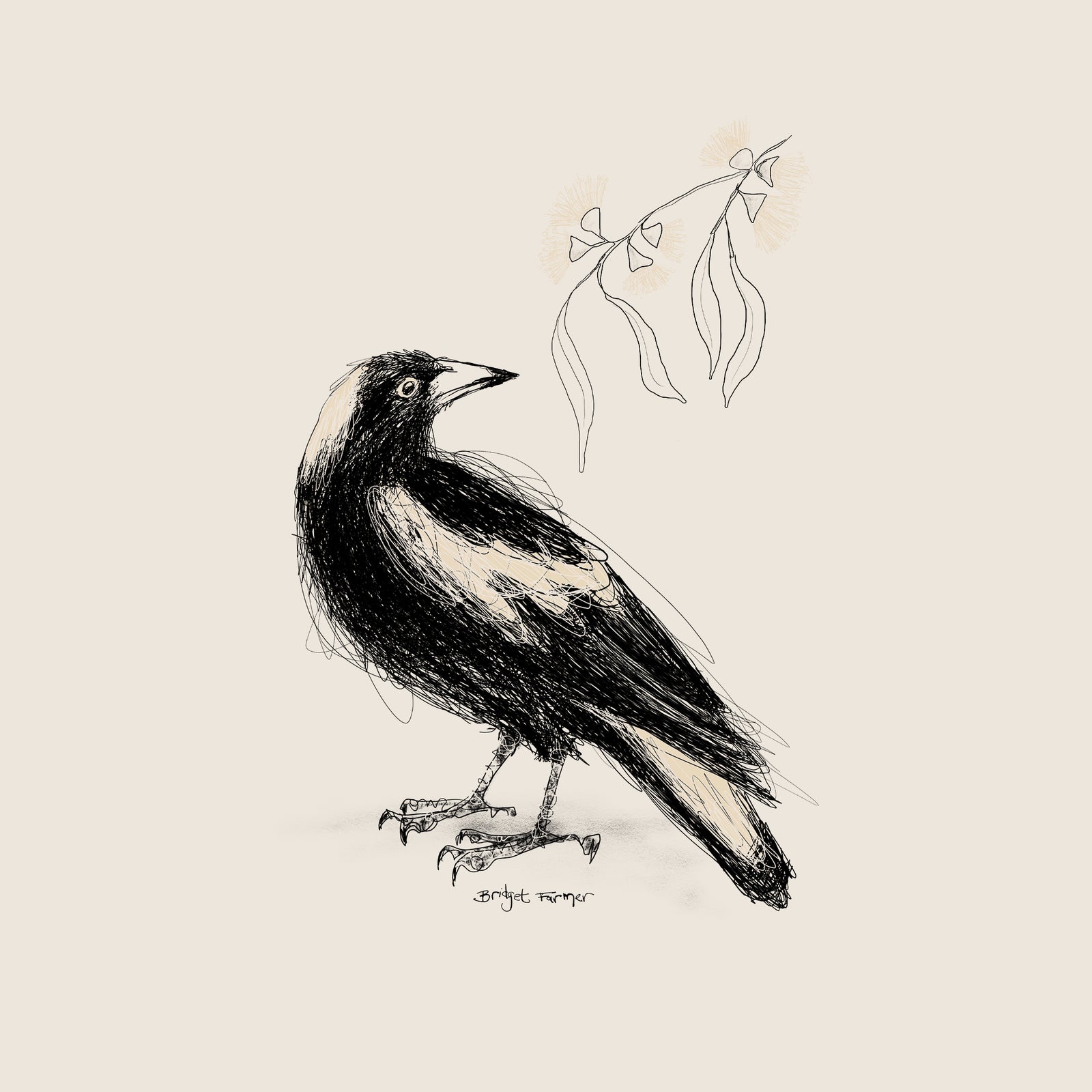 Australian Magpie Tote tote bag by Lonely Kids Club
