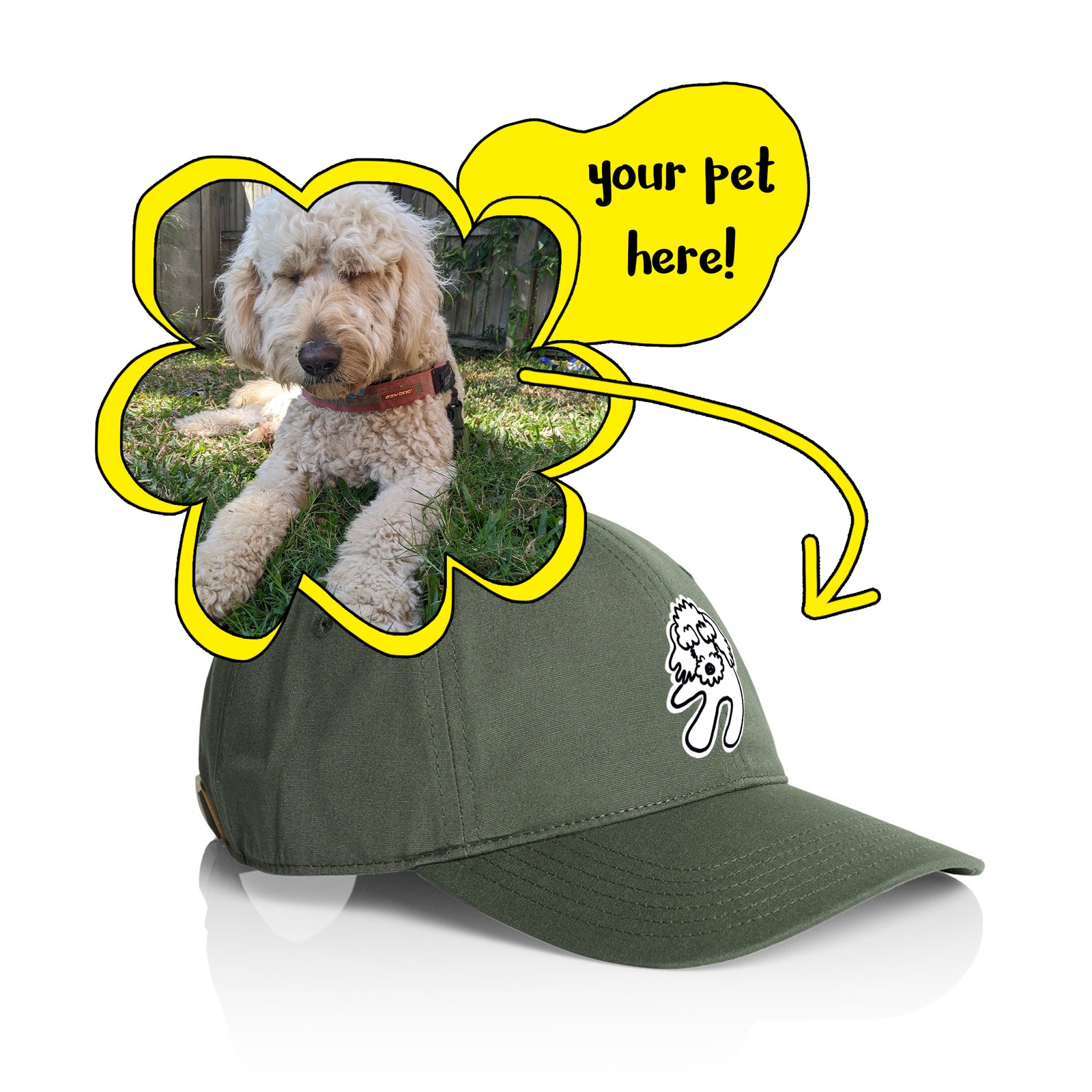 Badly Drawn Pet Hat