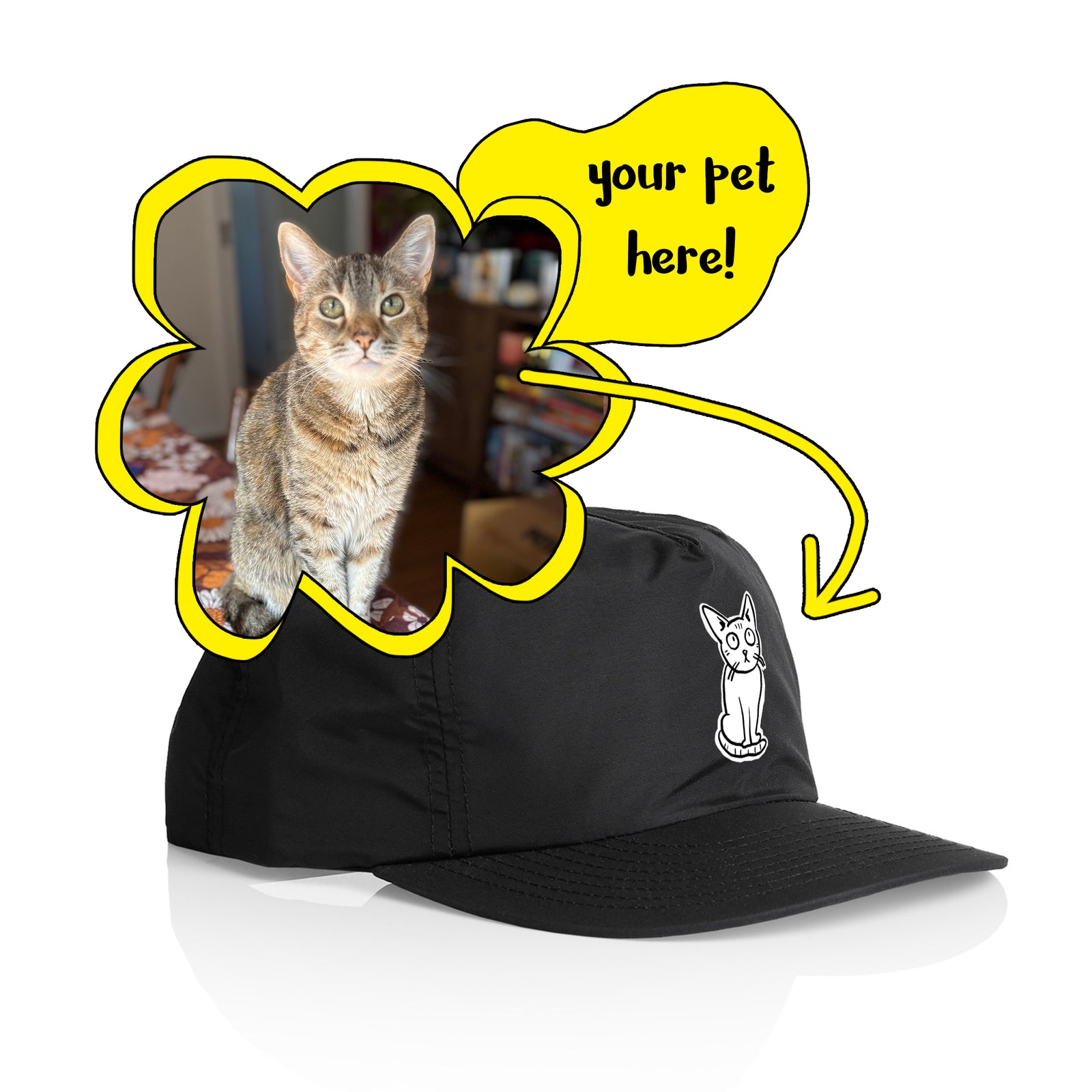 Badly Drawn Pet Hat