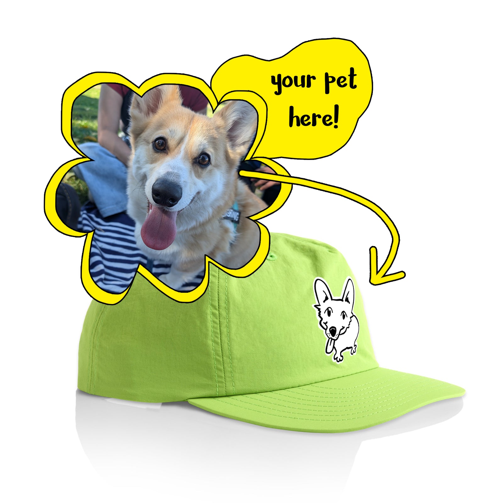 Badly Drawn Pet Hat