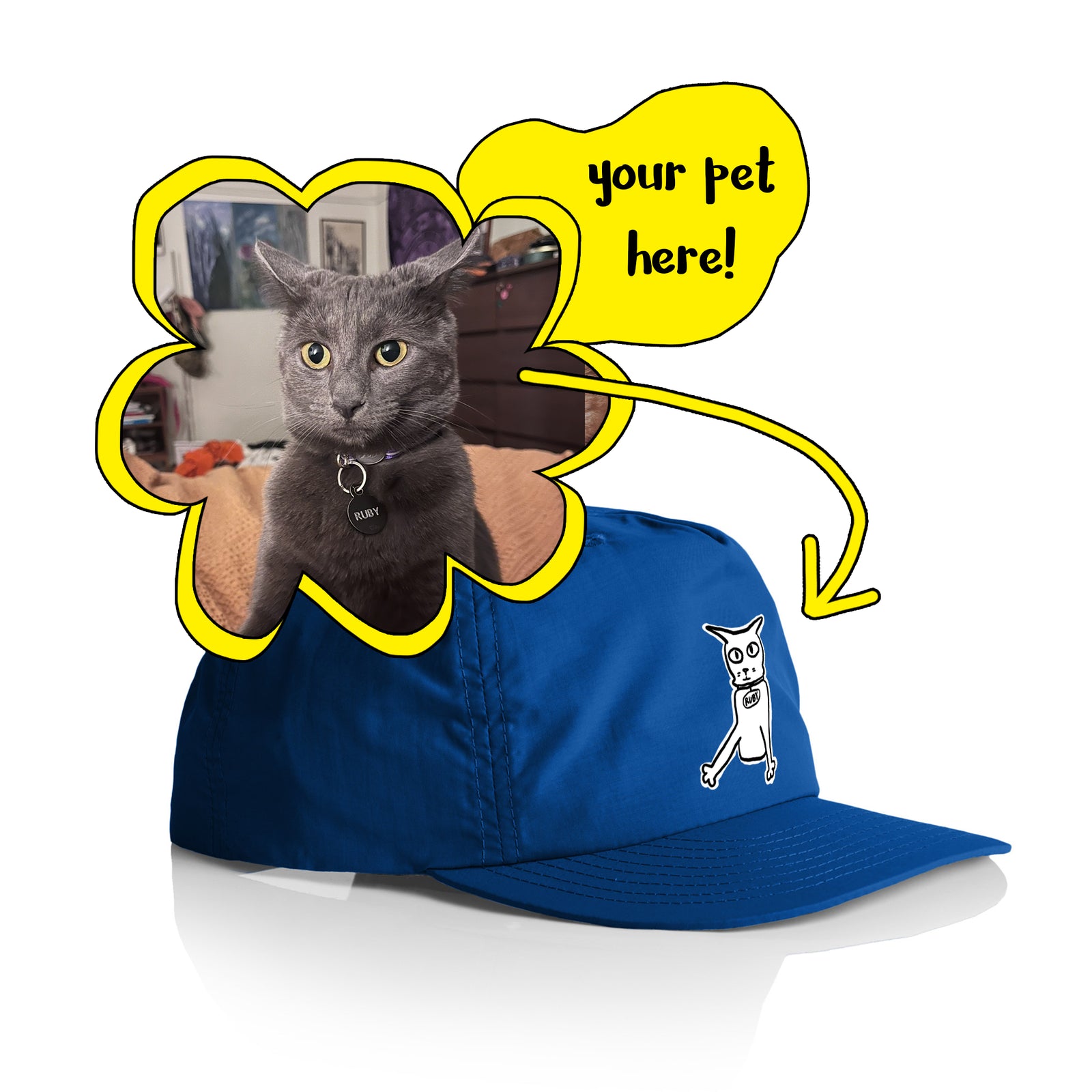 Badly Drawn Pet Hat