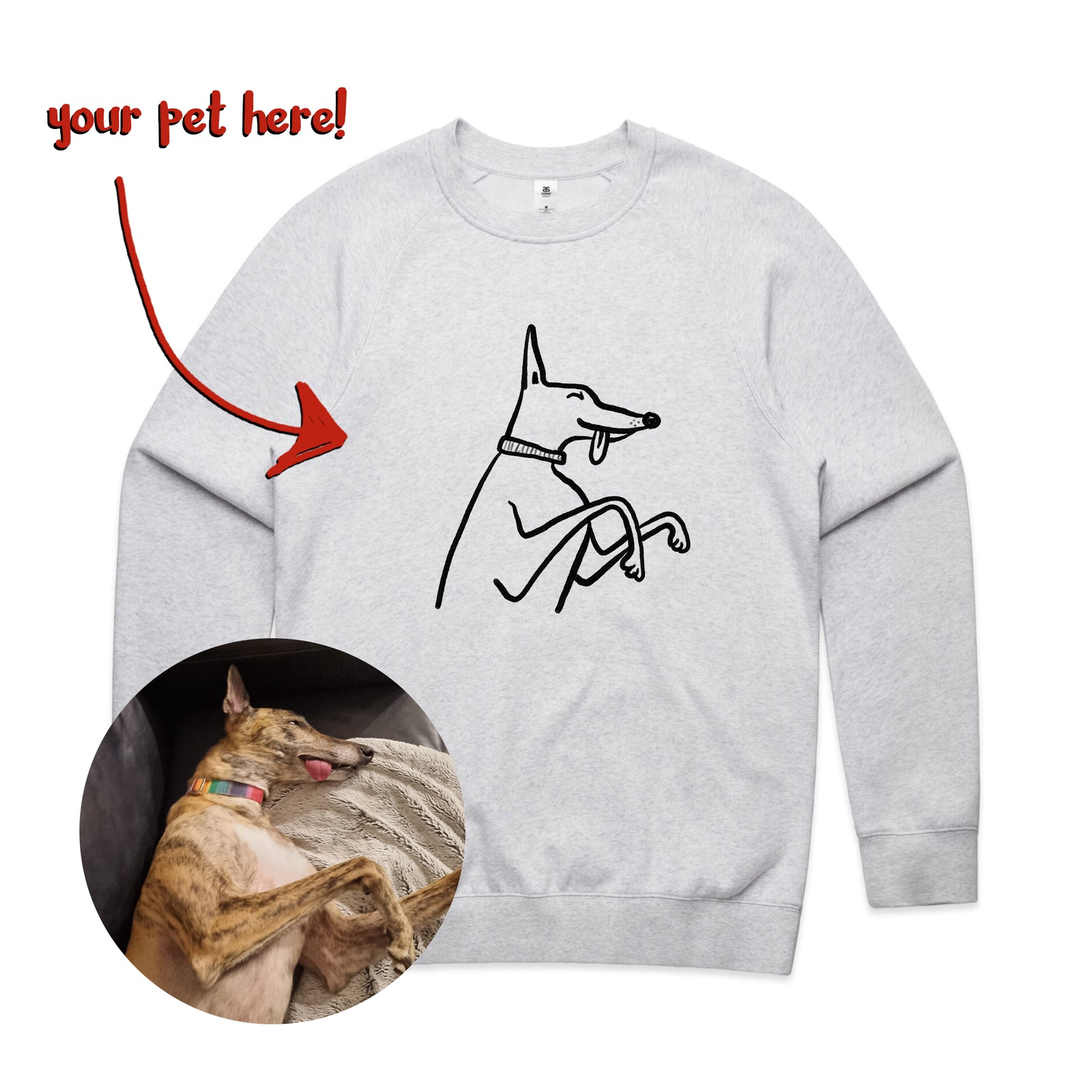 Badly Drawn Pet Jumper