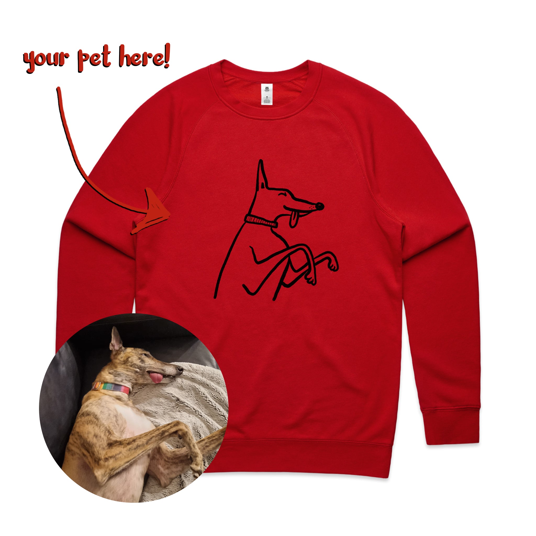 Badly Drawn Pet Jumper