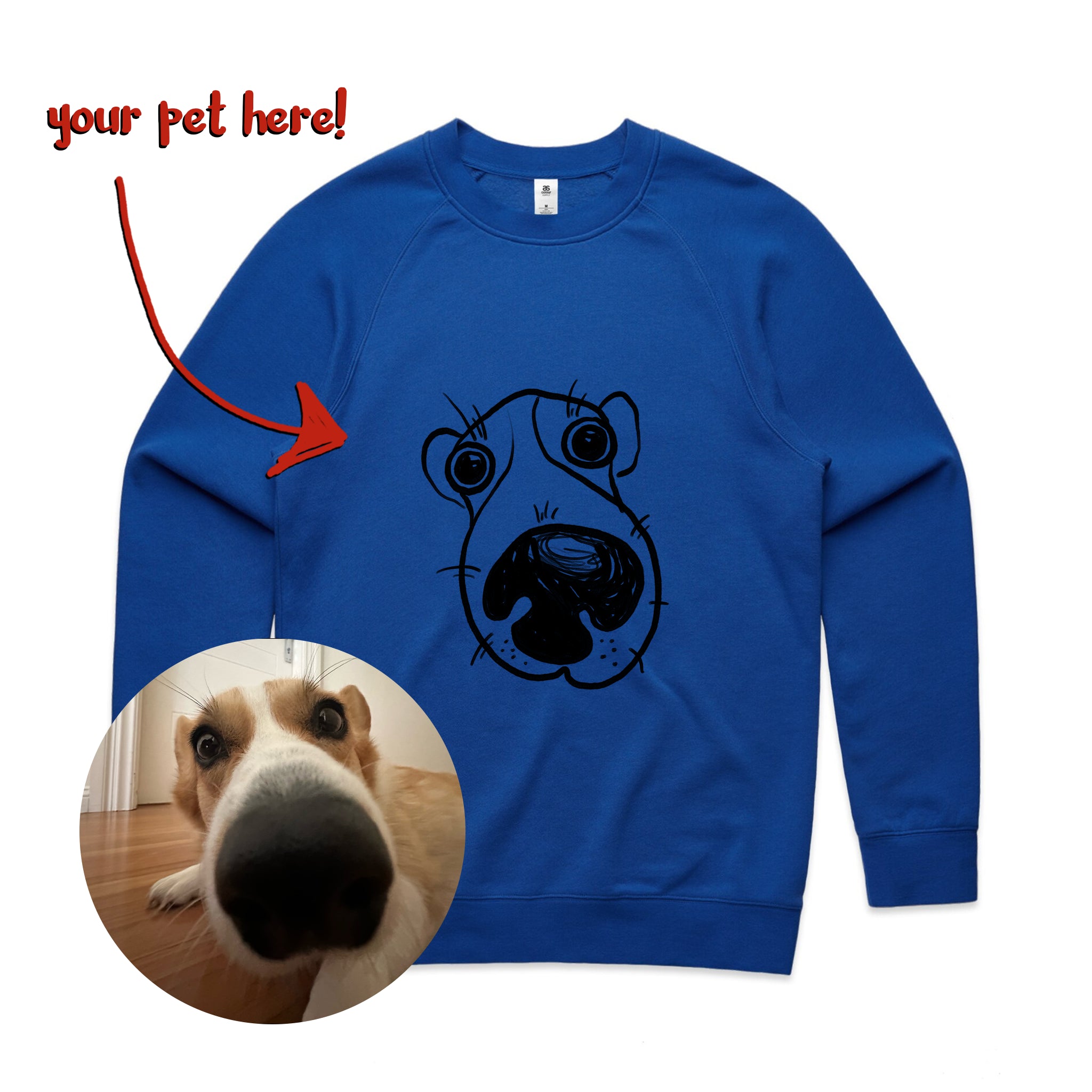 Badly Drawn Pet Jumper