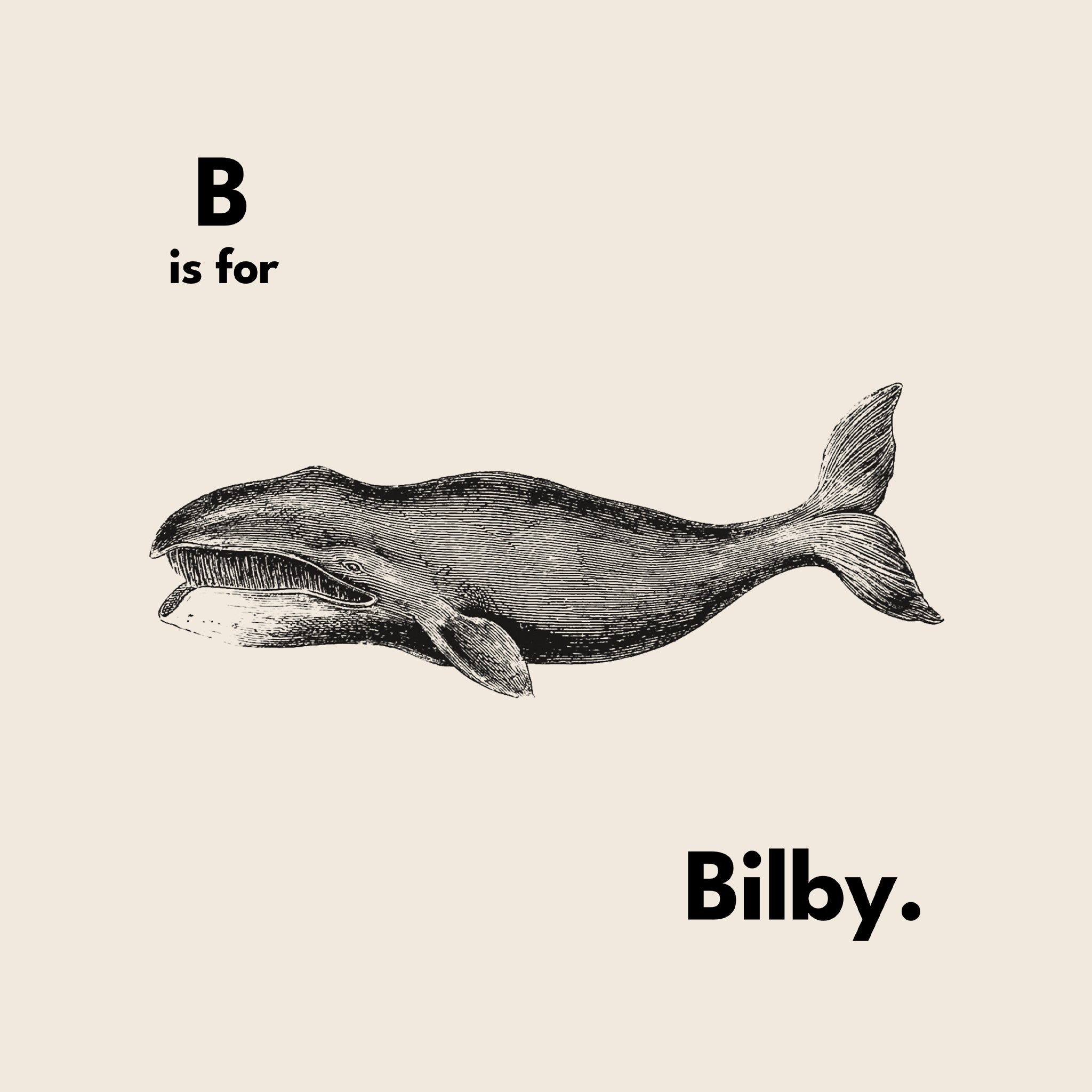 B Is For Bilby Tee