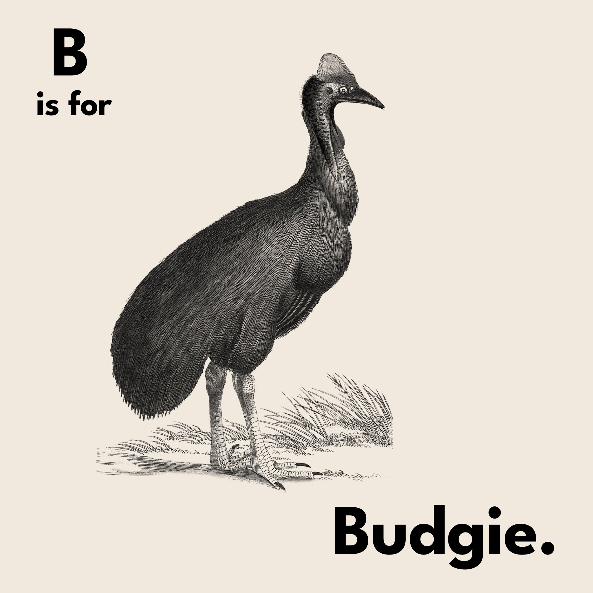 B Is For Budgie Tee