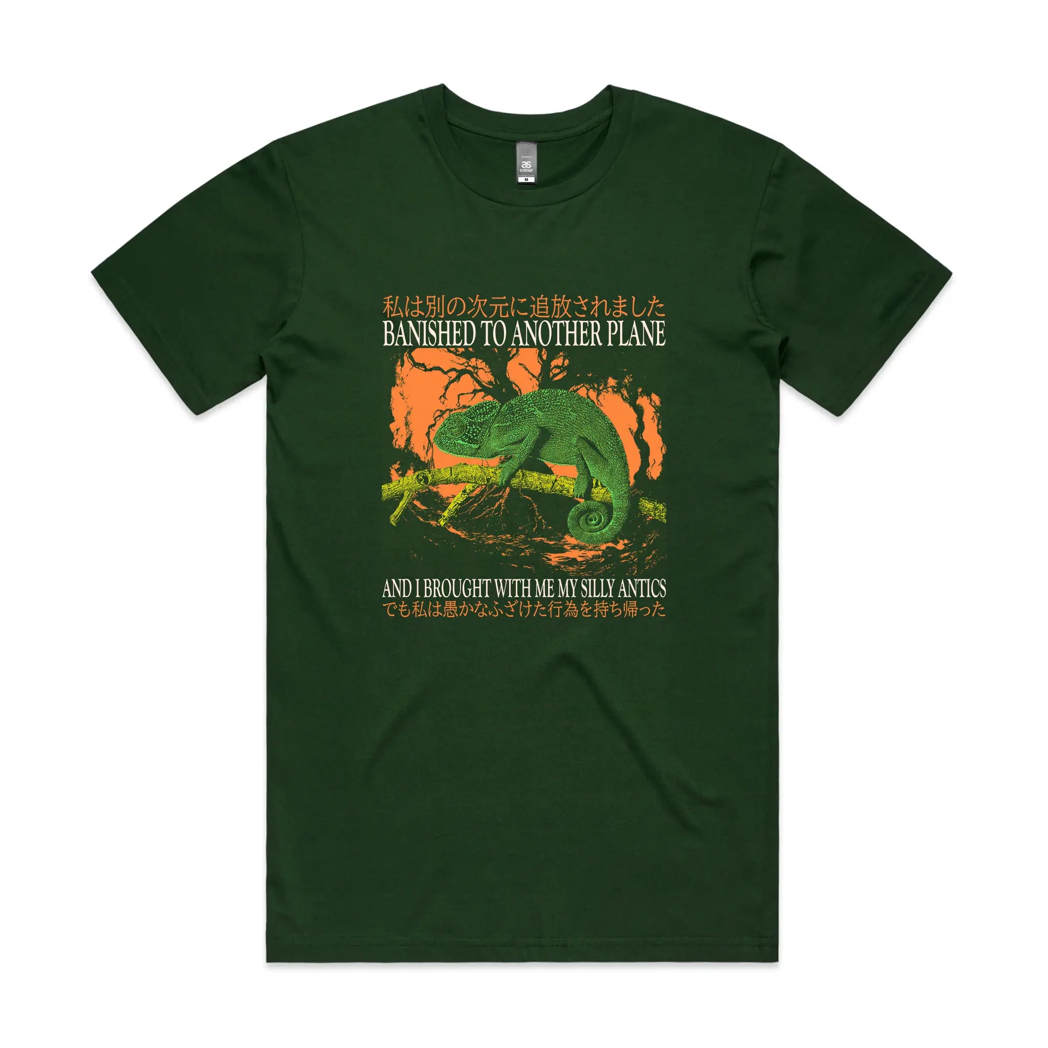 Banished To Another Plane Tee