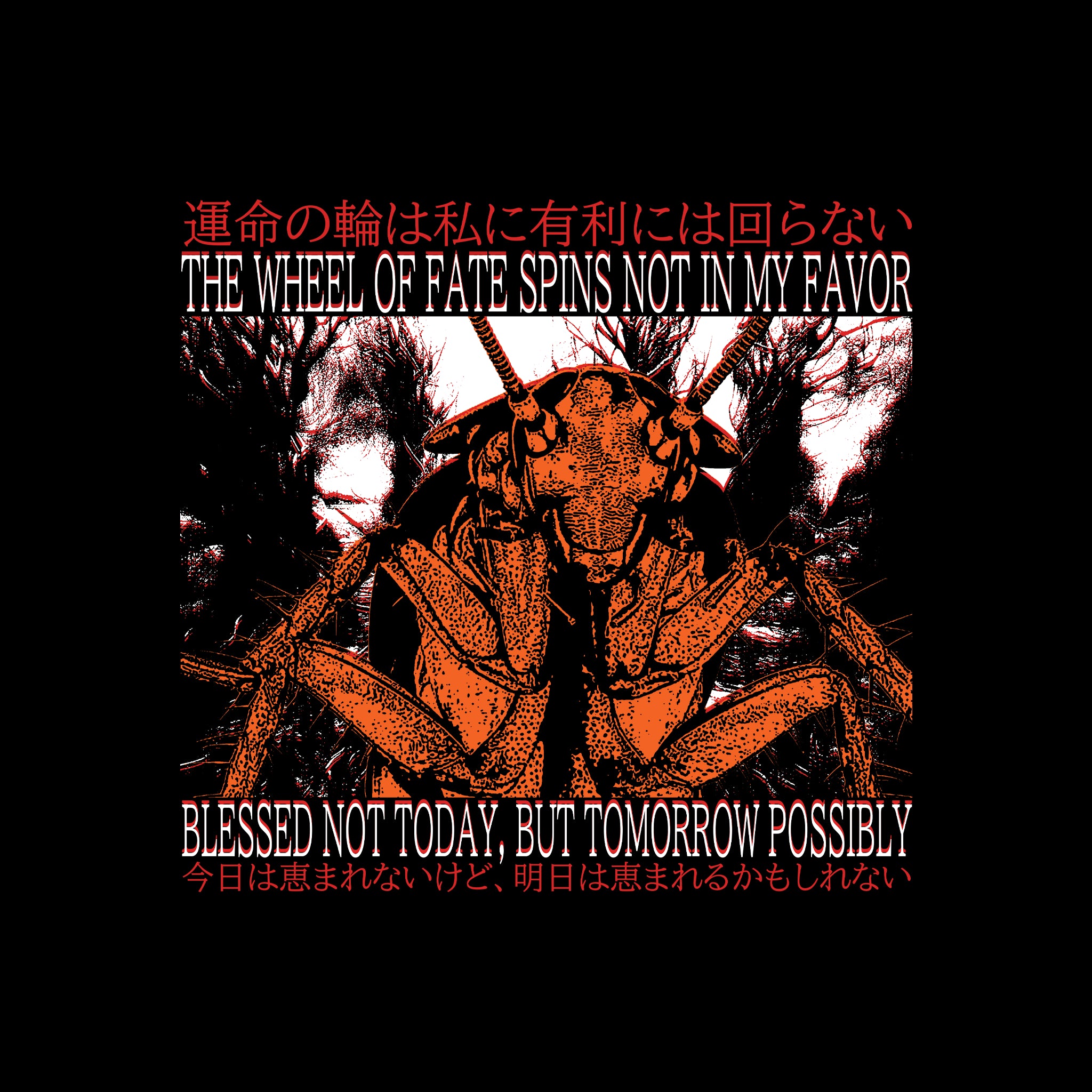 Blessed Not Today Tee
