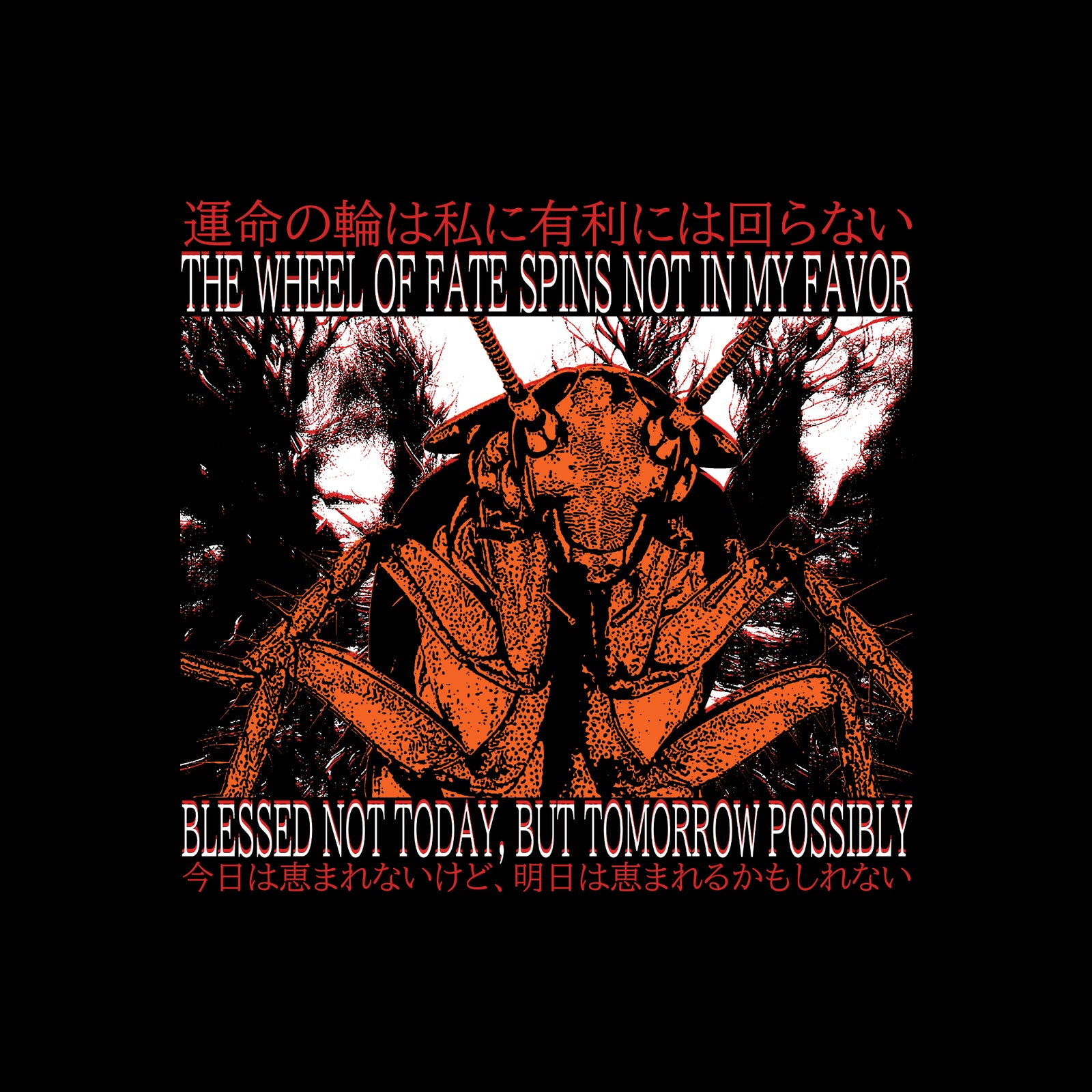 Blessed Not Today Tee