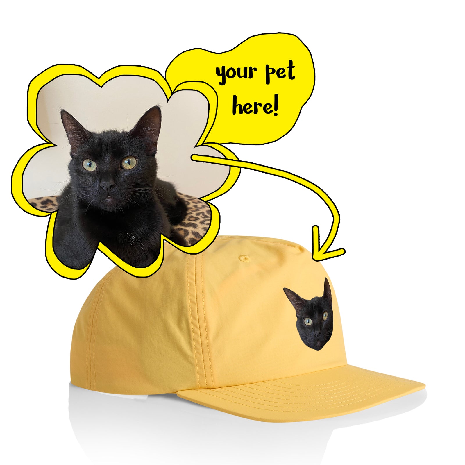 Create Your Own Pet Hat