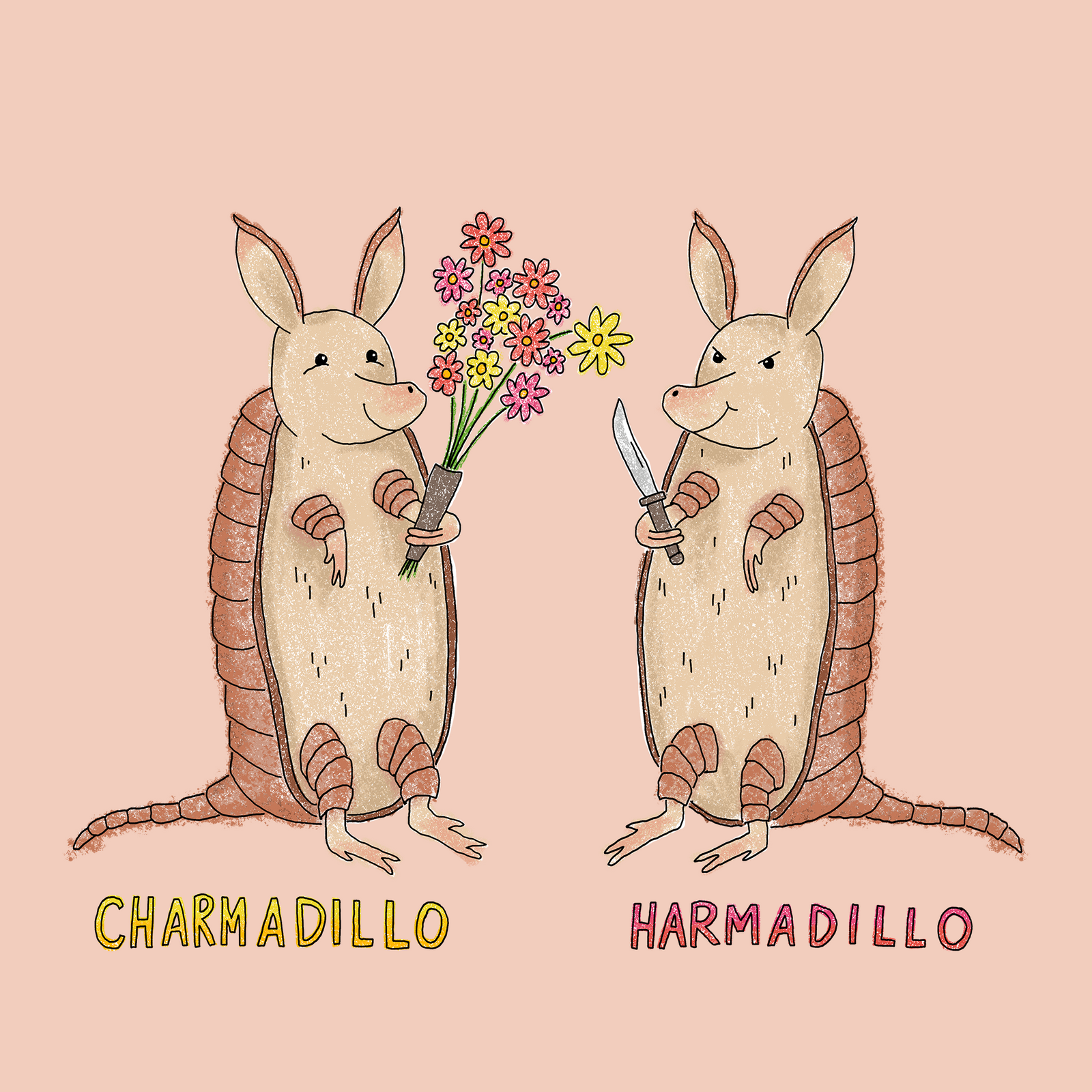 Charmadillo Harmadillo Tee