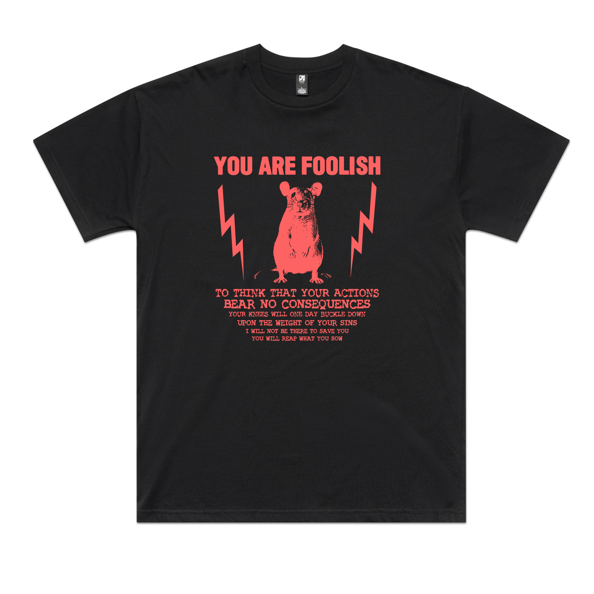You Are Foolish Oversized Tee