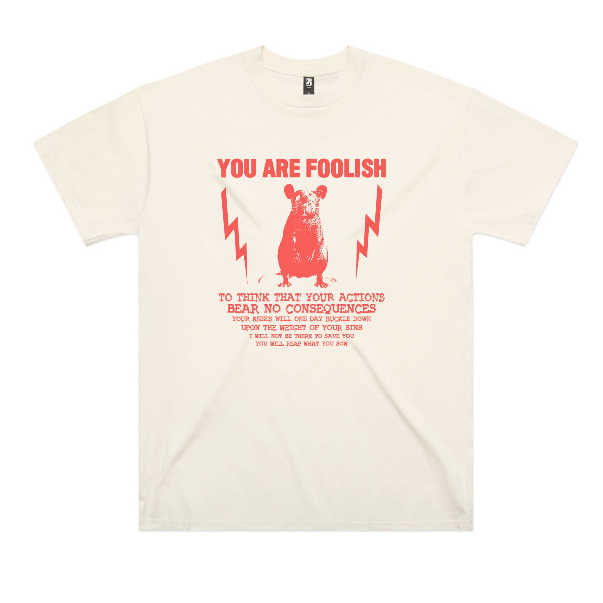 You Are Foolish Oversized Tee
