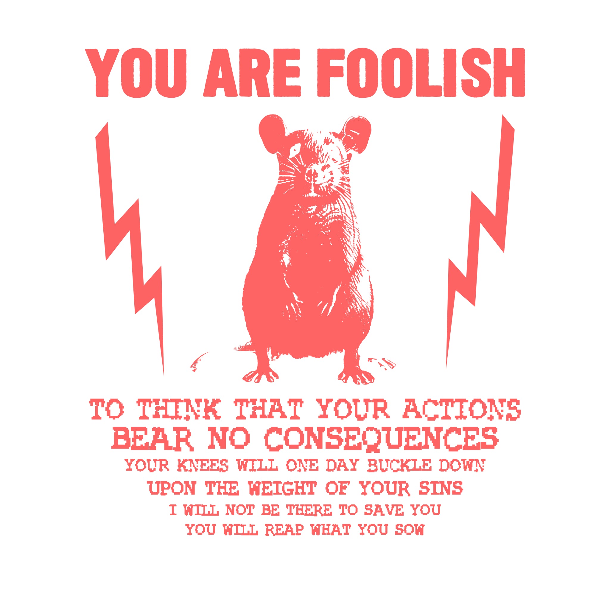 You Are Foolish Oversized Tee