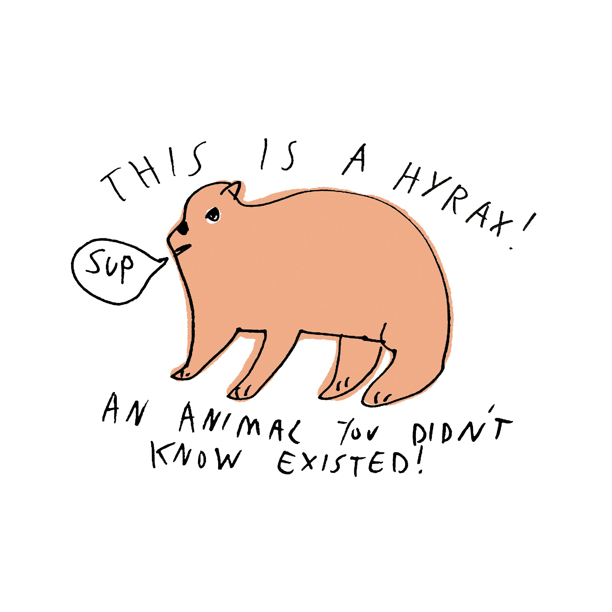 Hyrax Tee
