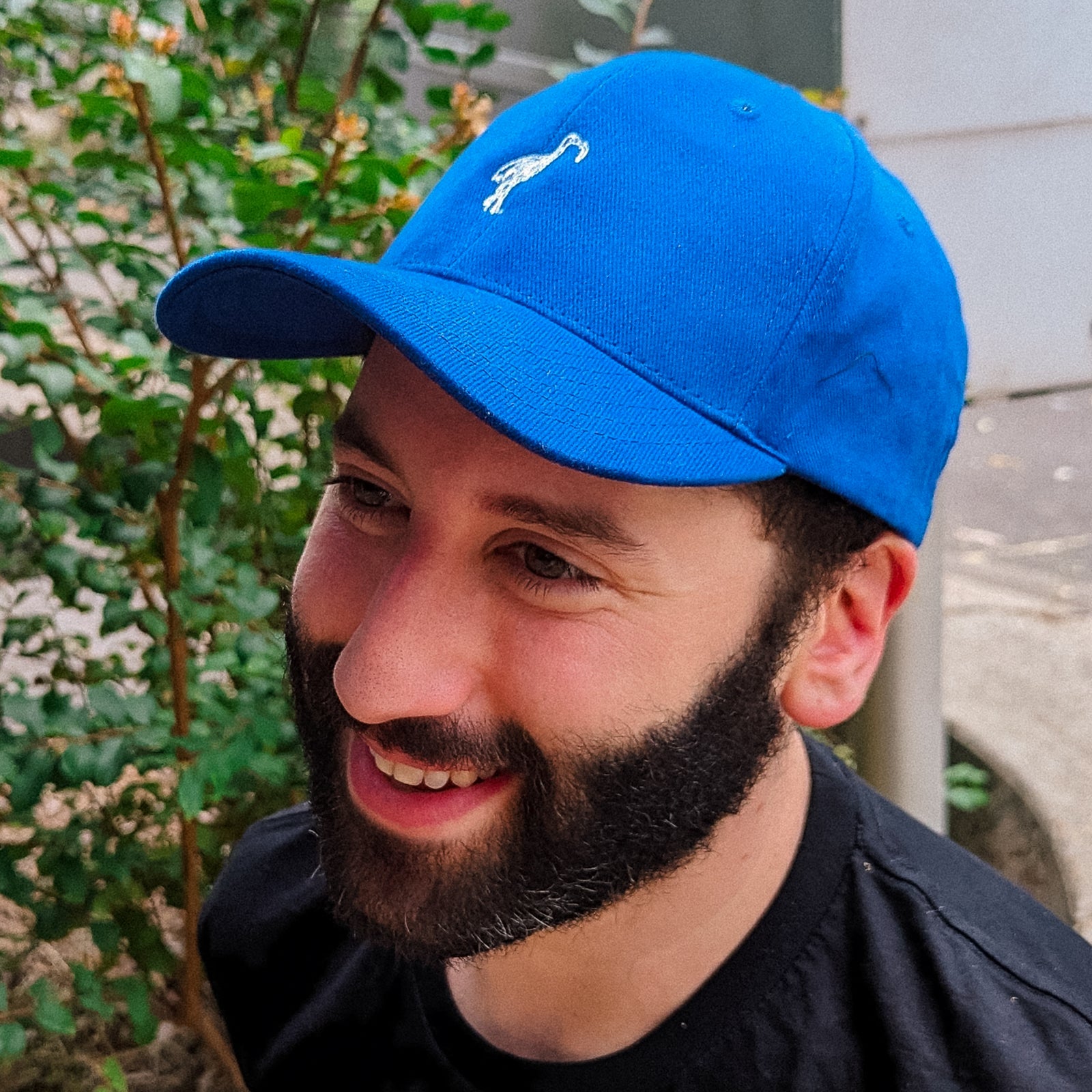 Royal Blue cap with Ibis Logo Cap graphic by Lonely Kids Club