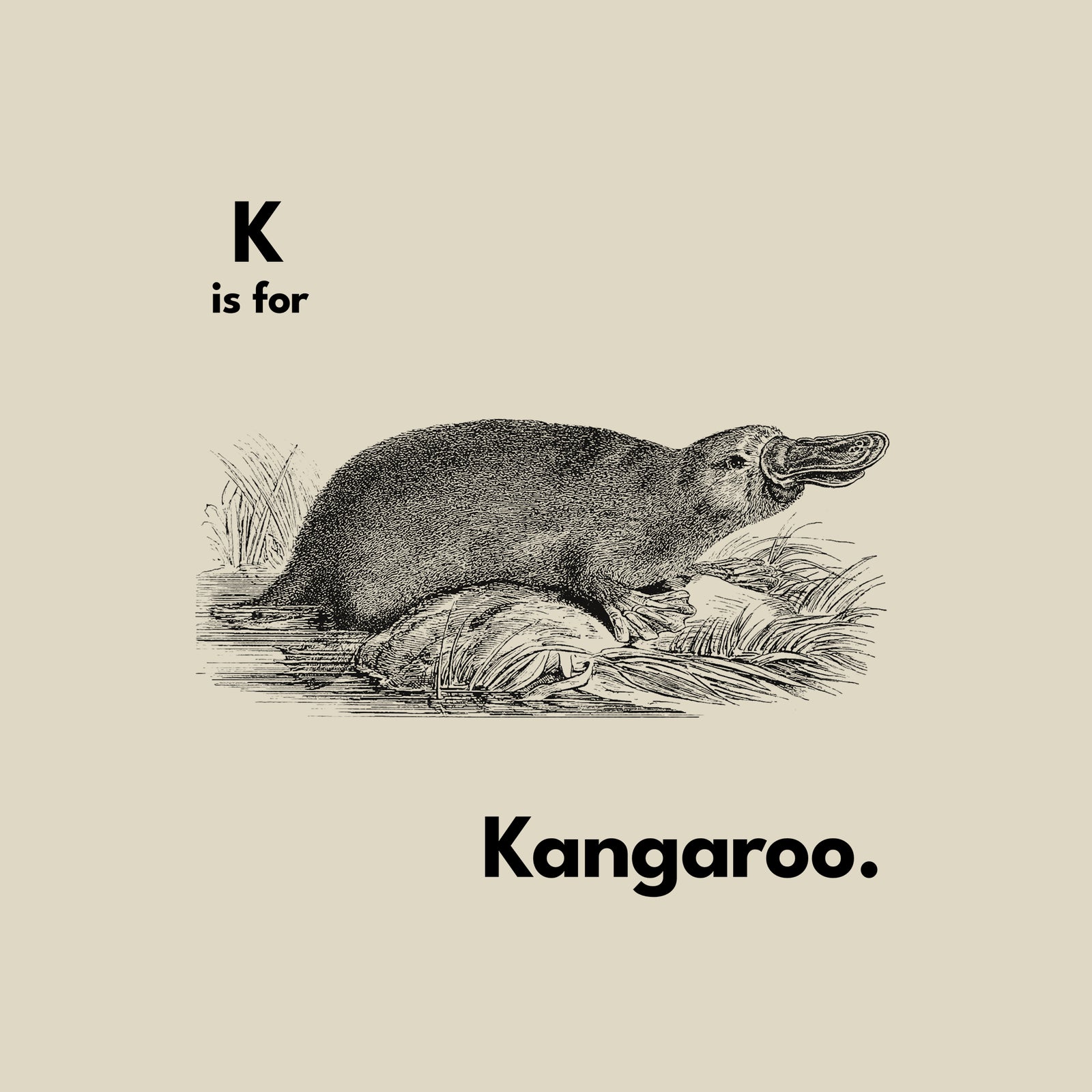 K Is For Kangaroo Hoodie