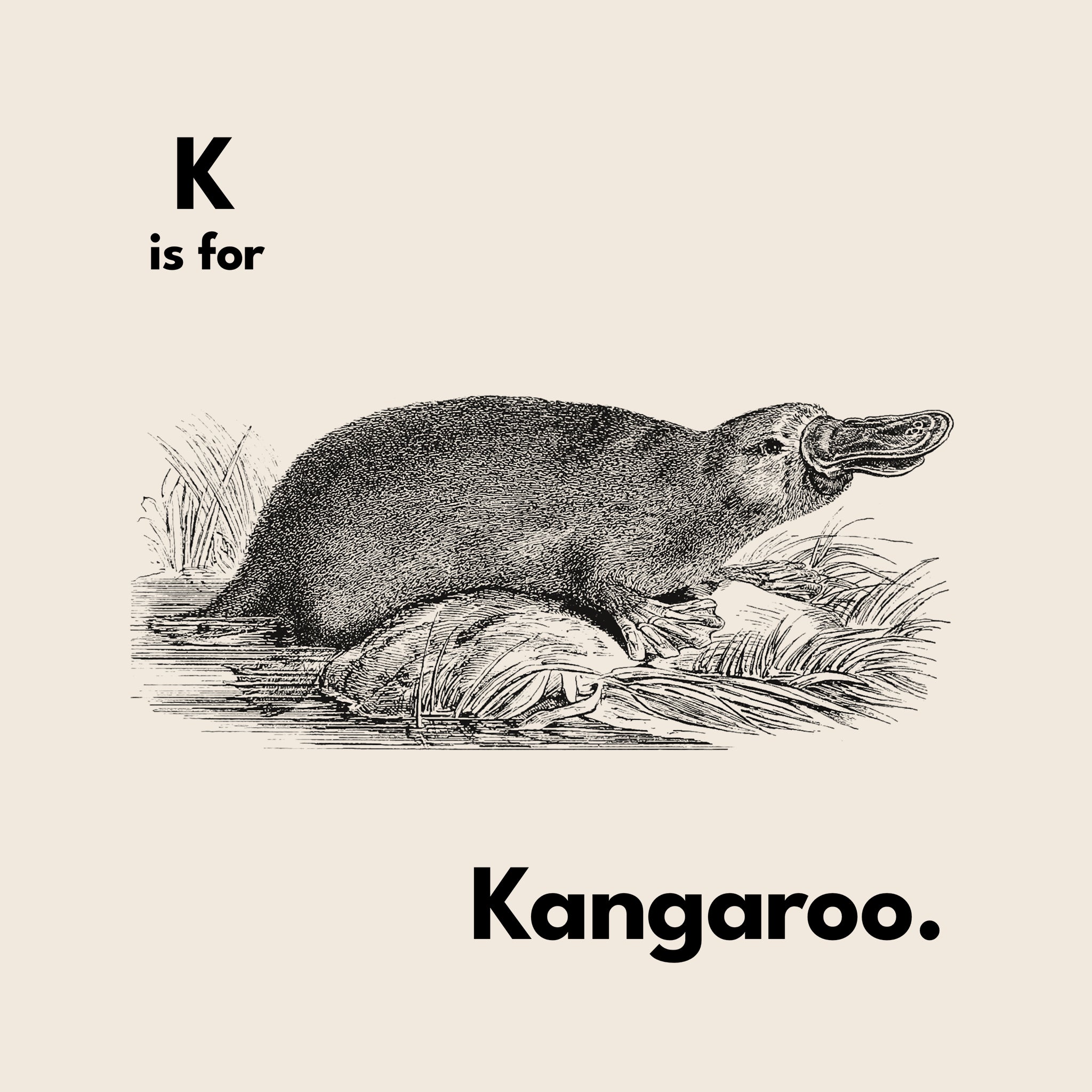 K Is For Kangaroo Oversized Tee