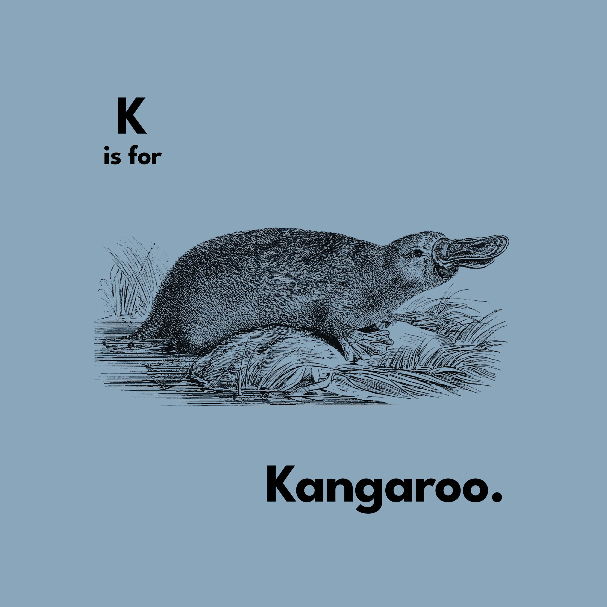 K Is For Kangaroo Tee