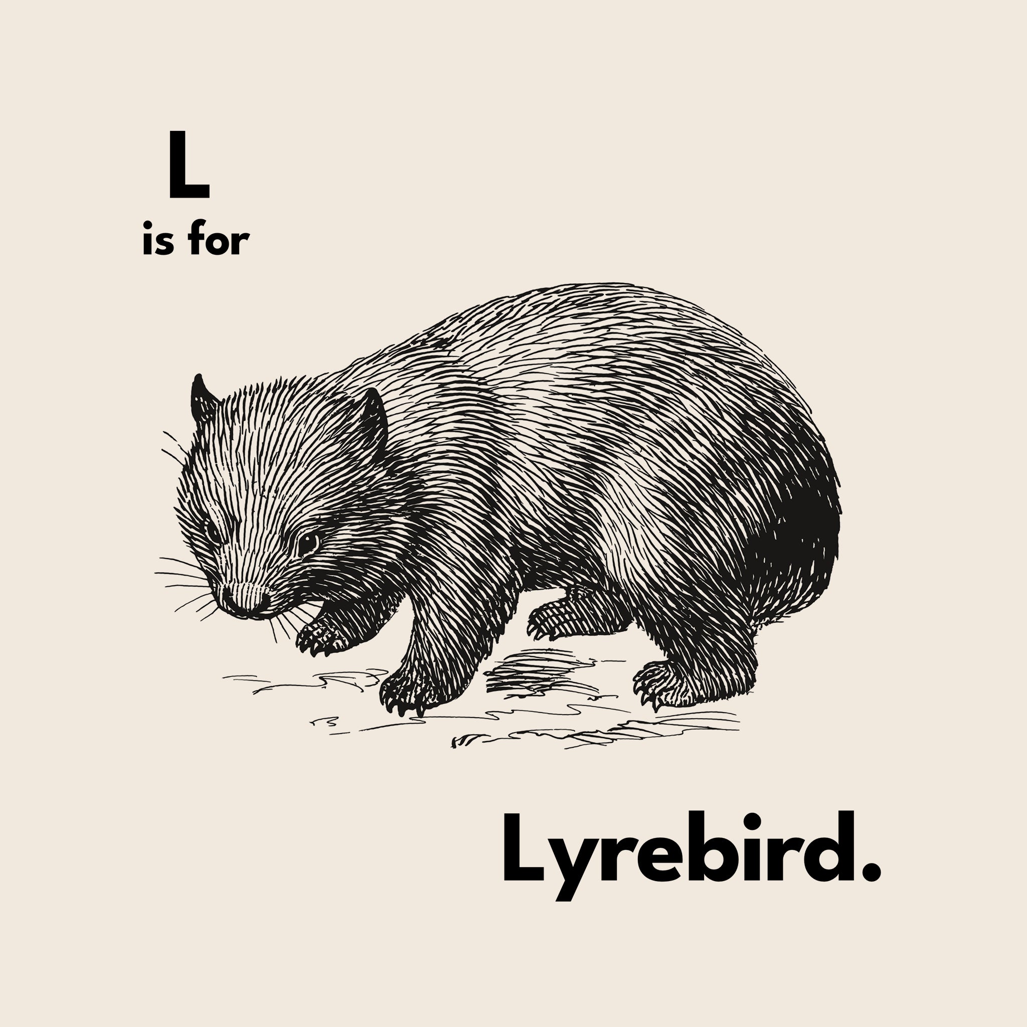 L Is For Lyrebird Oversized Tee