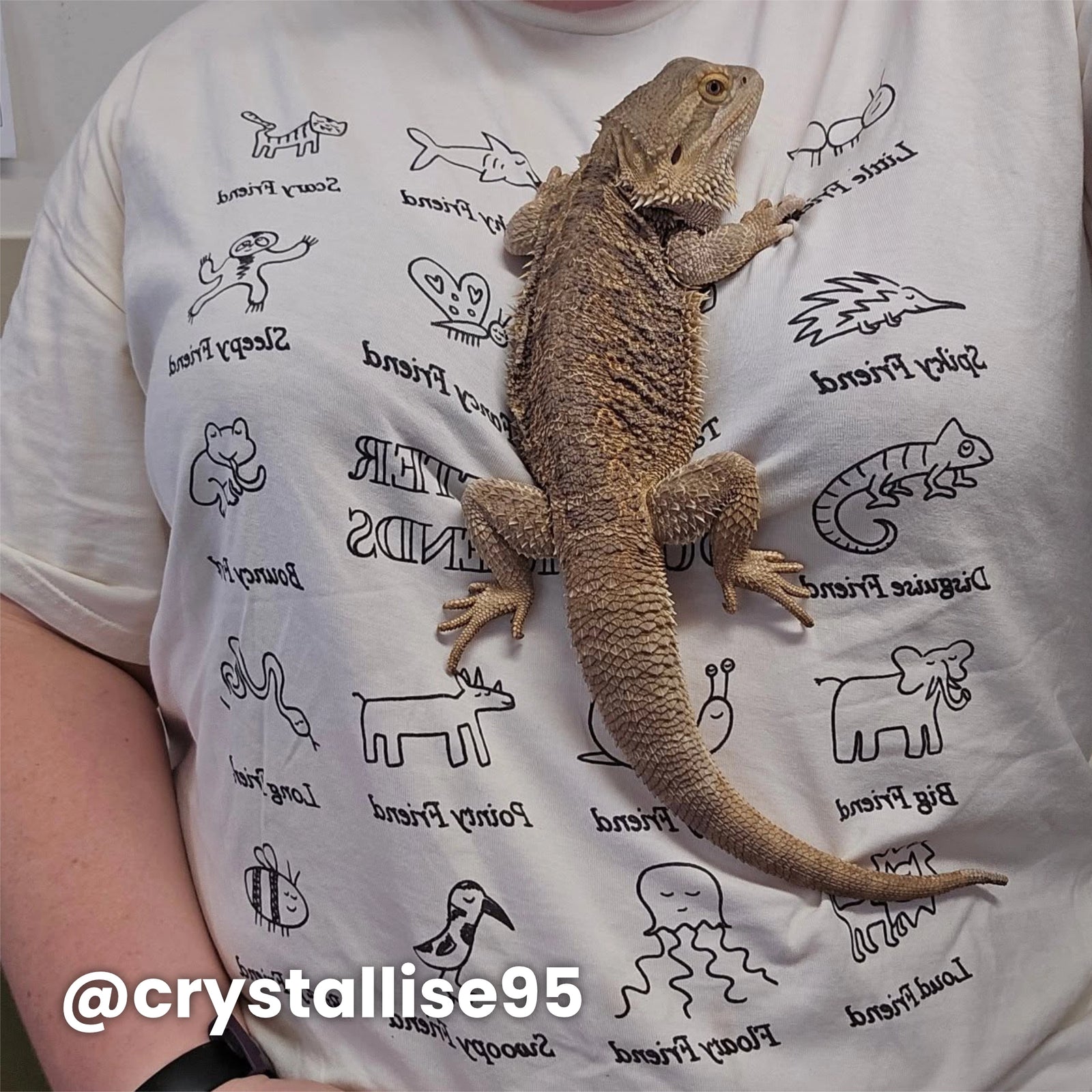 Look After Our Friends Tee