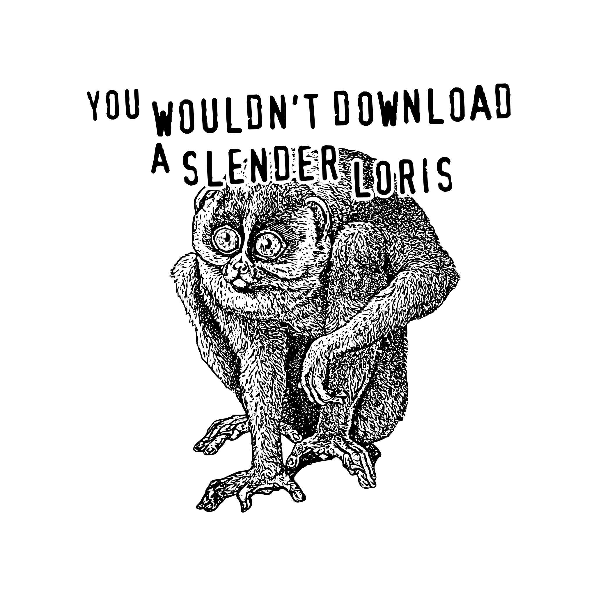 Slender Loris Oversized Tee