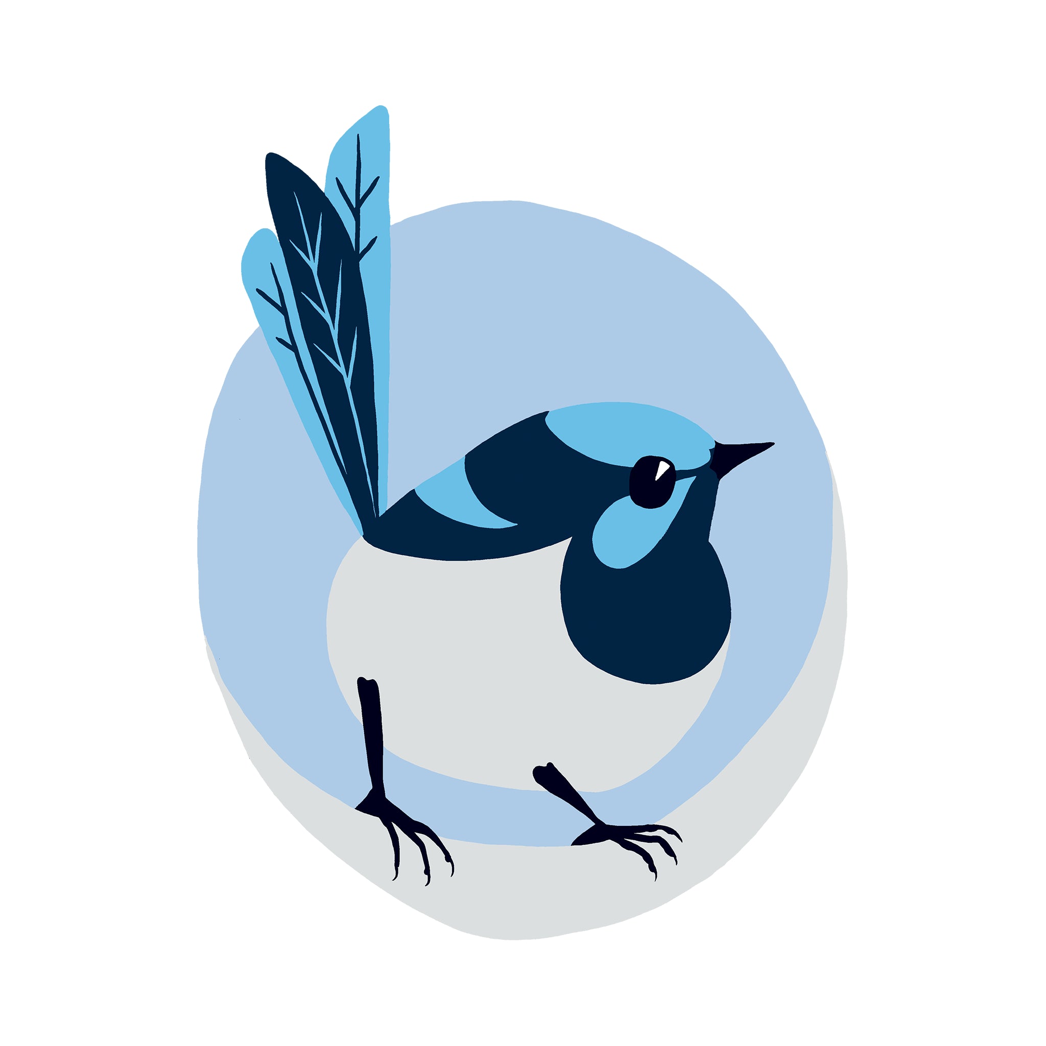 Mini Superb Fairywren Tee