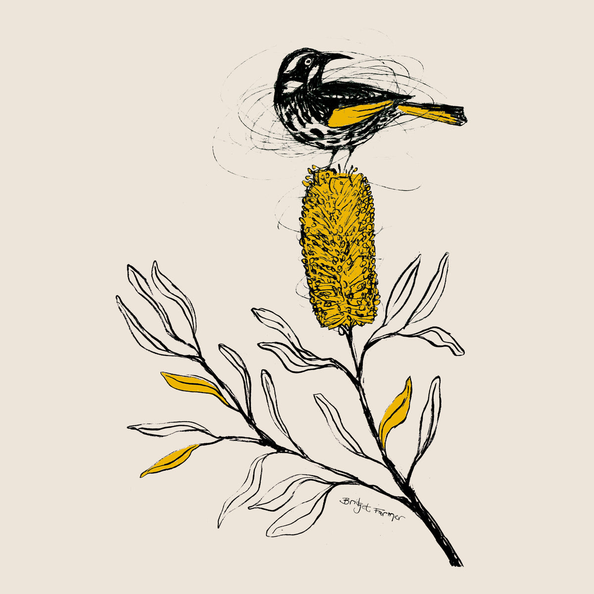 New Holland Honeyeater Tote tote bag by Lonely Kids Club