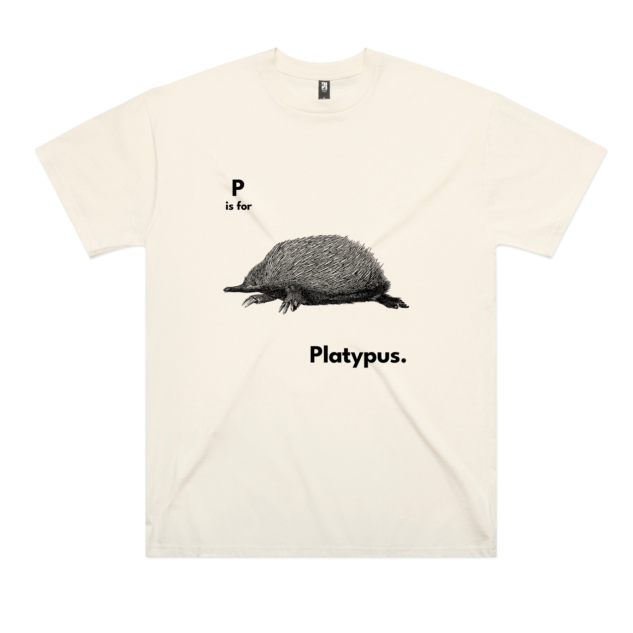 P Is For Platypus Oversized Tee