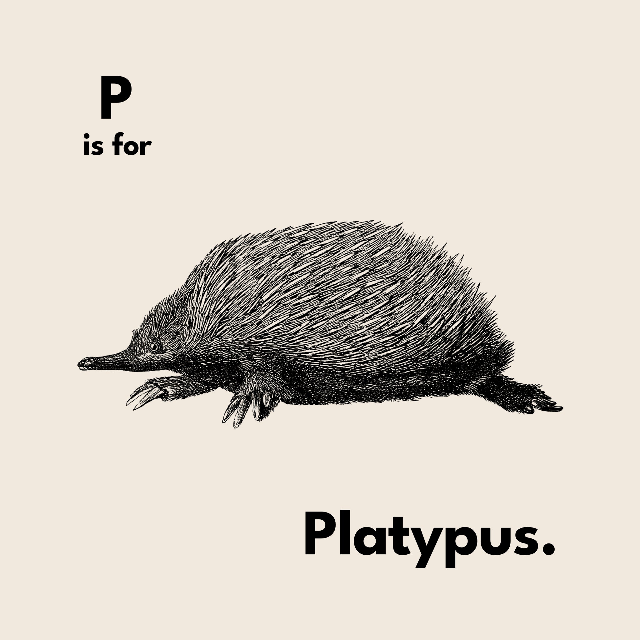 P Is For Platypus Tee