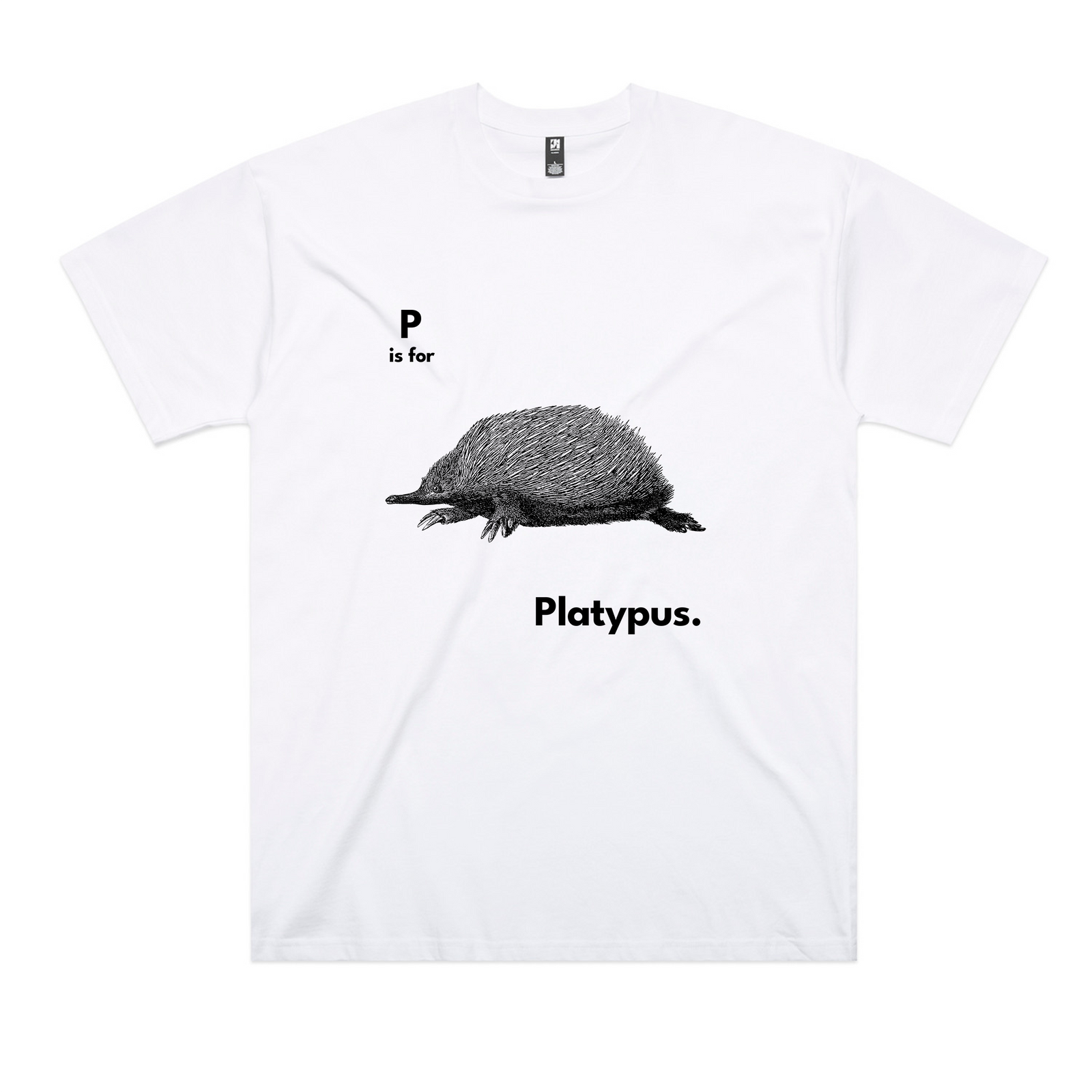 P Is For Platypus Oversized Tee