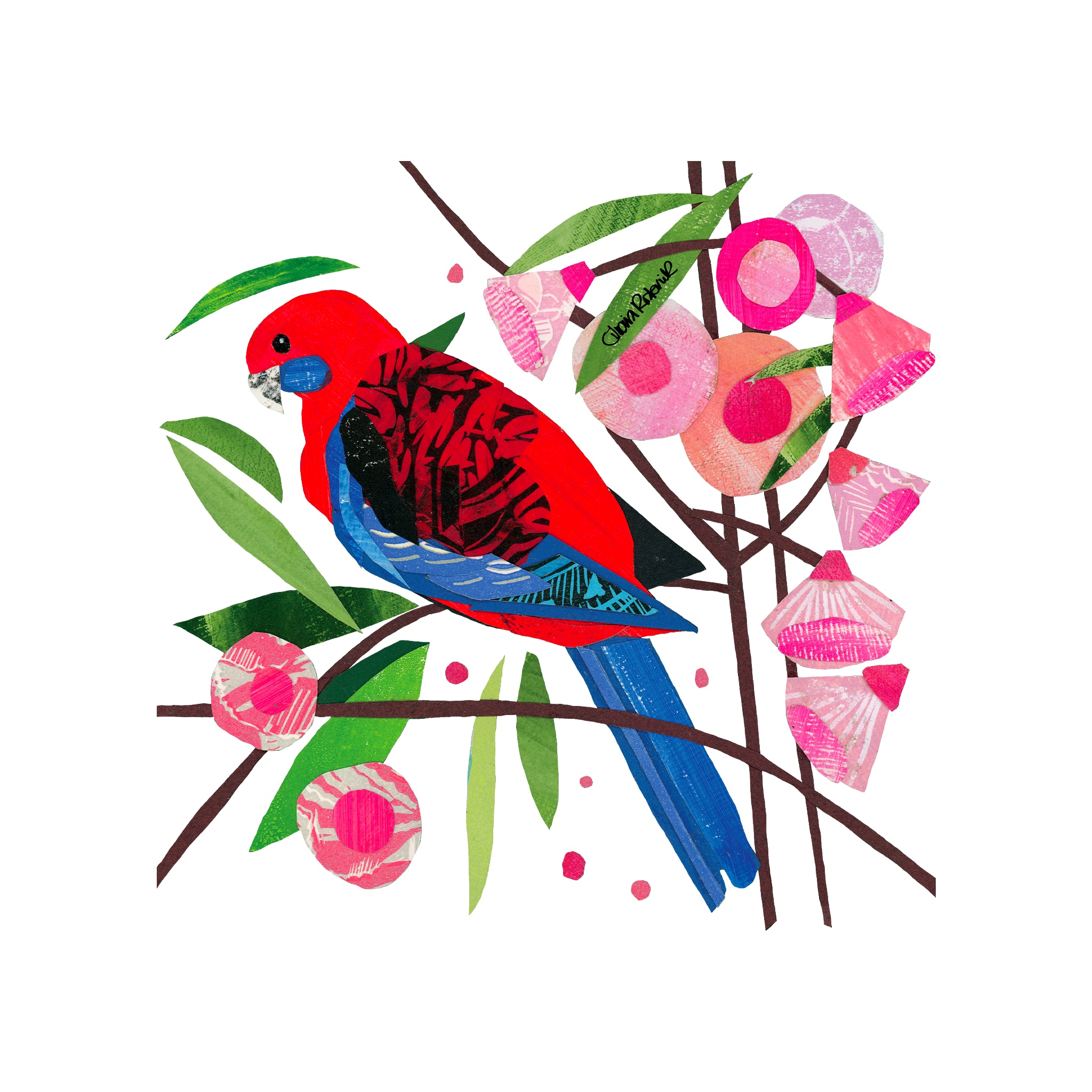 Paper Crimson Rosella Tee