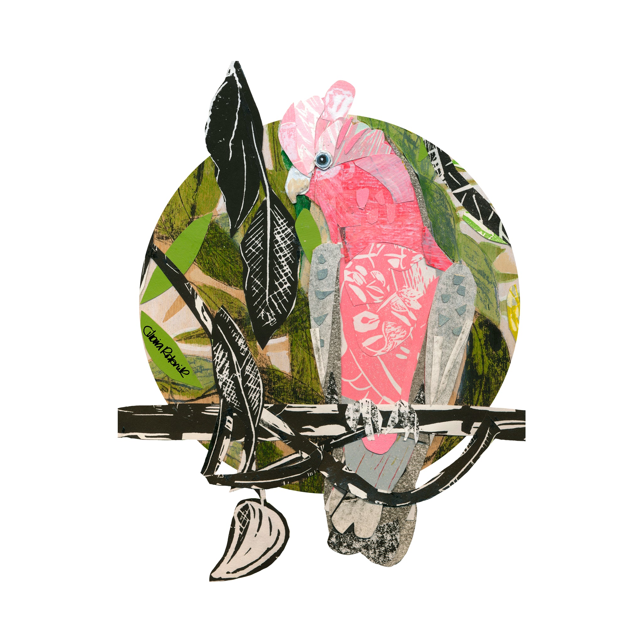 Paper Galah Tee