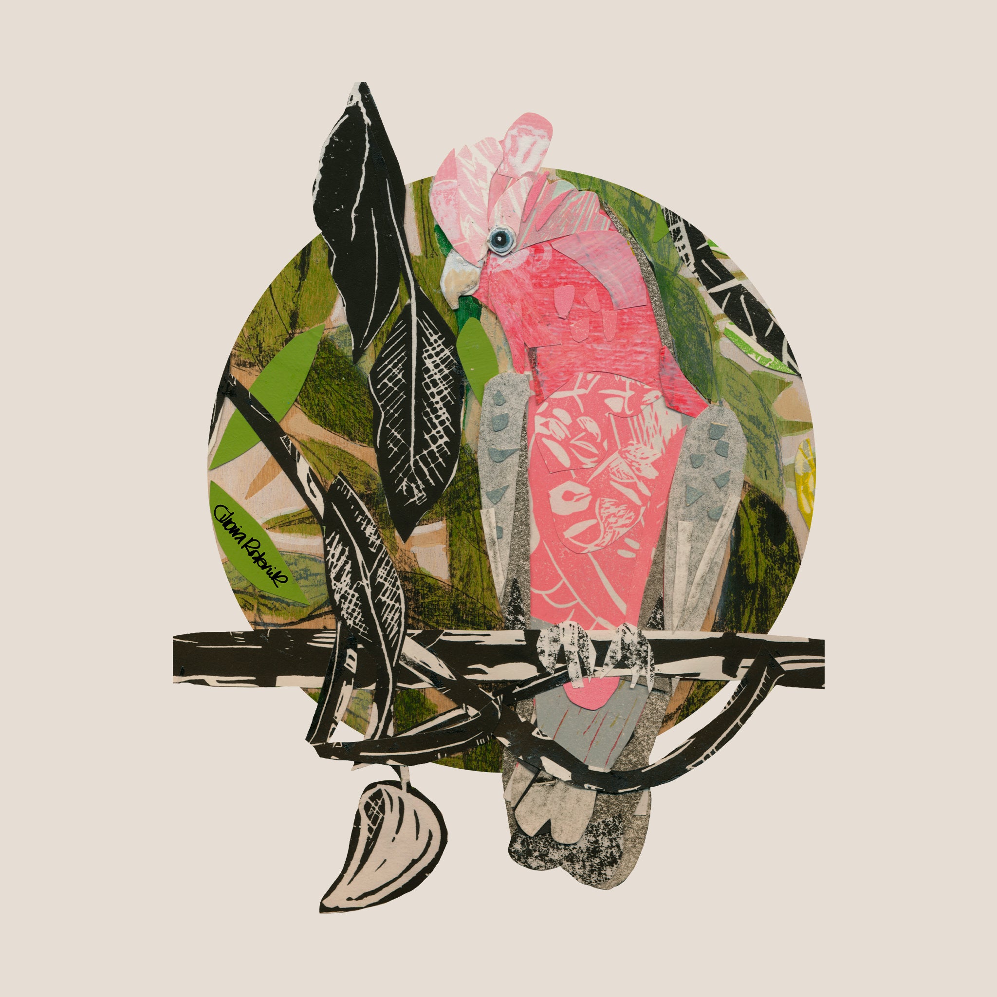 Paper Galah Tote