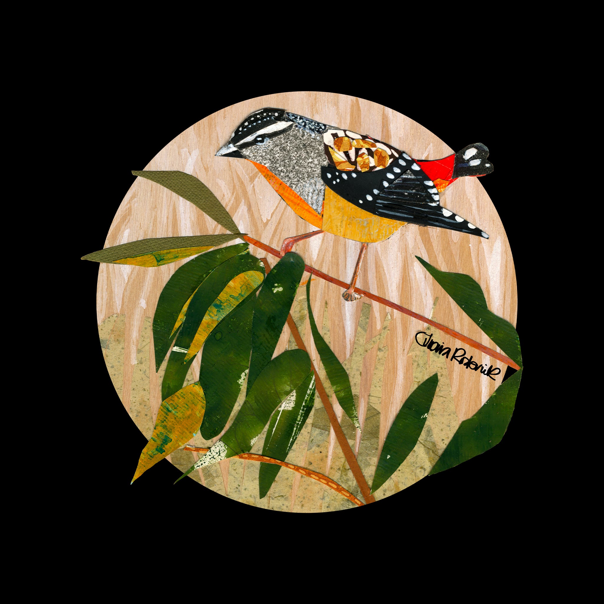 Paper Pardalote Jumper