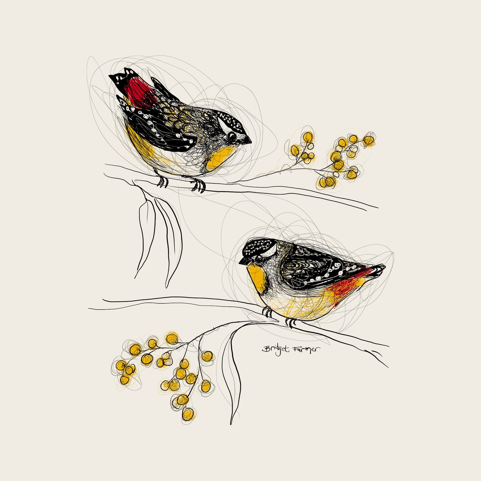Spotted Pardalotes Hoodie