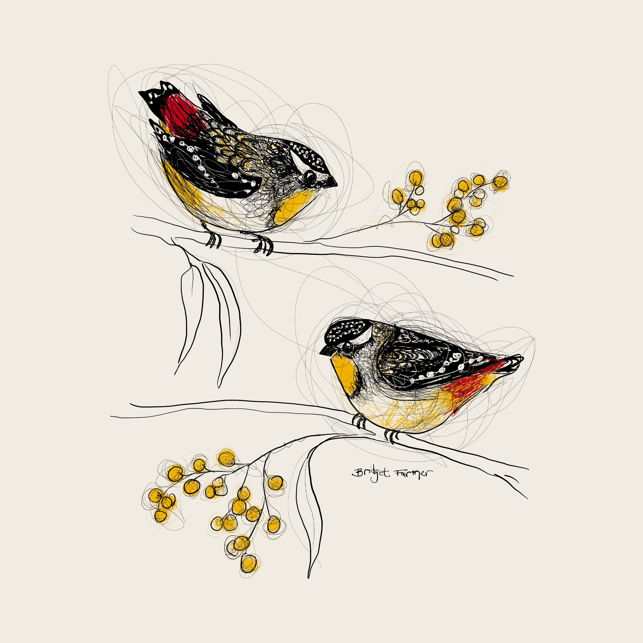 Spotted Pardalotes Tee
