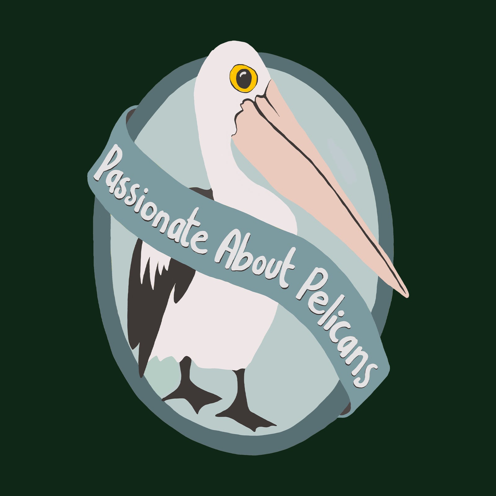 Passionate About Pelicans Jumper