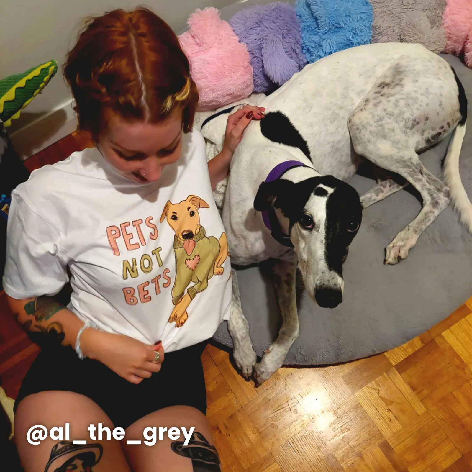 Pets Not Bets Tee