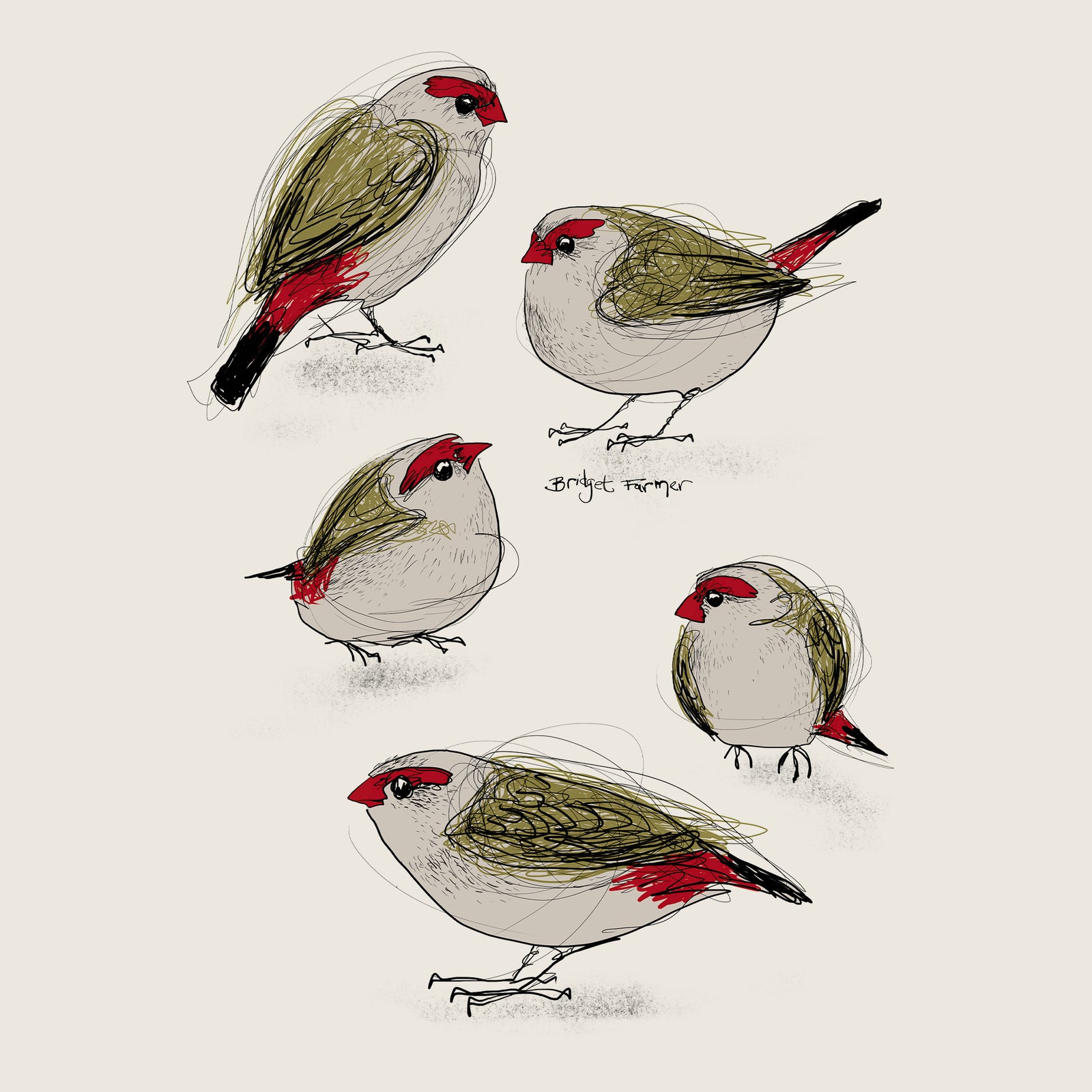 Red Browed Finches Tote tote bag by Lonely Kids Club