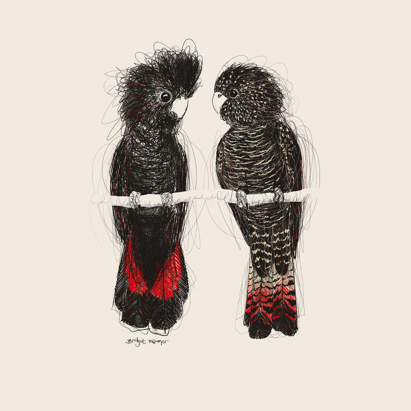Red Tailed Black Cockatoos Tote tote bag by Lonely Kids Club