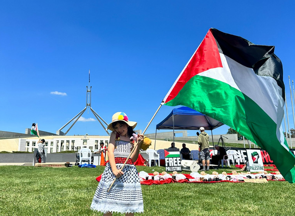 Free Palestine Shirt Charity Impact