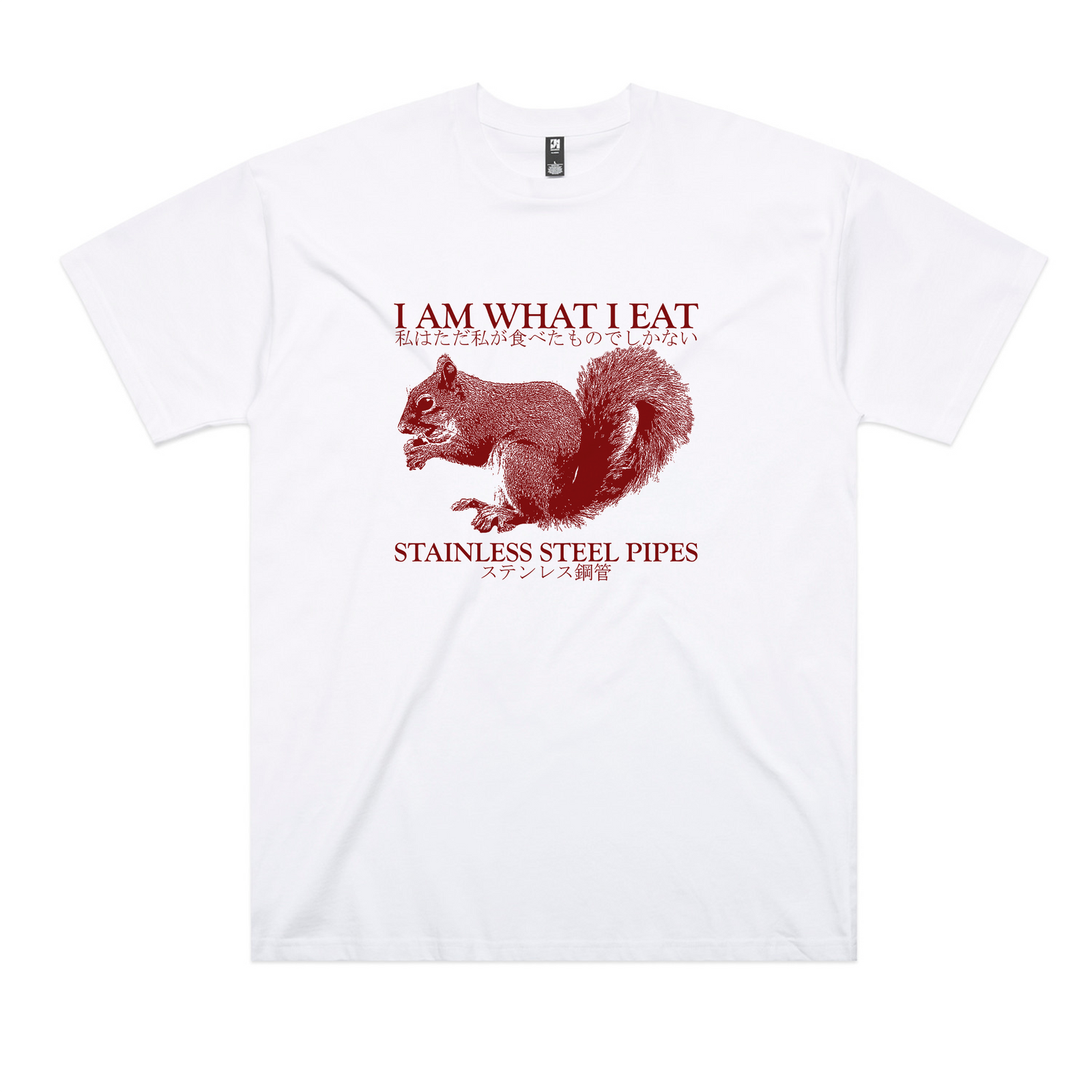 Stainless Steel Pipes Tee