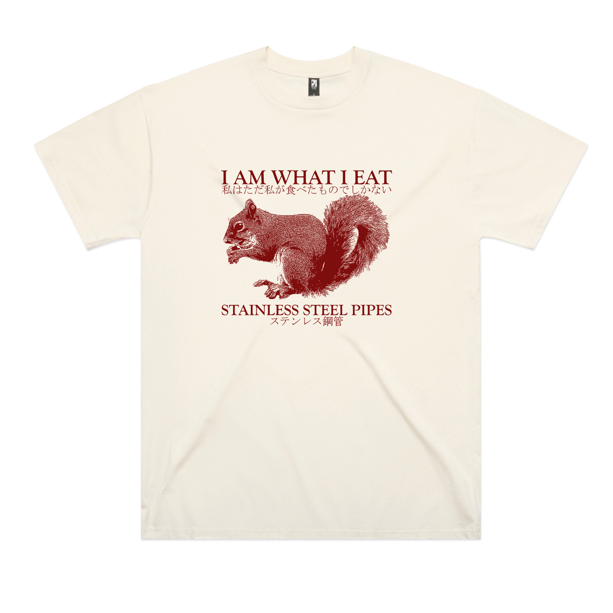 Stainless Steel Pipes Tee