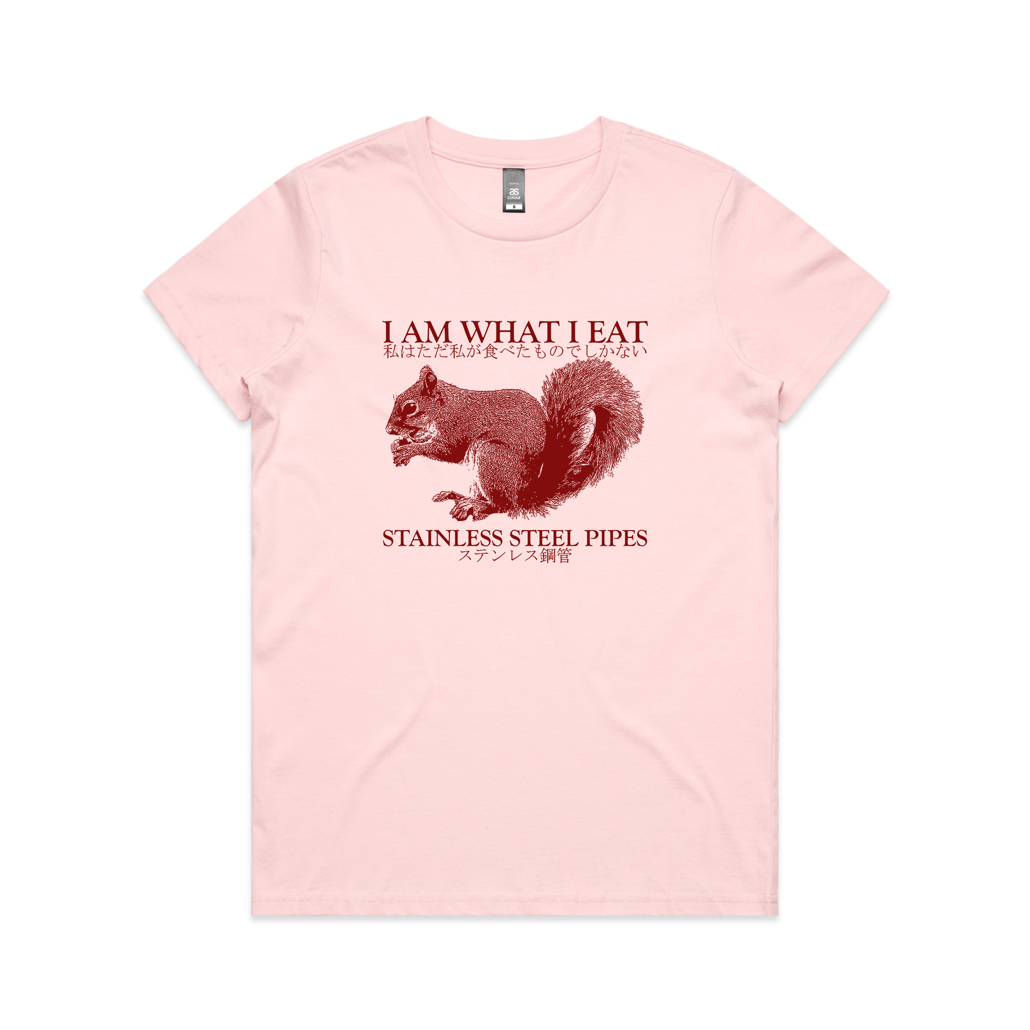 Stainless Steel Pipes Tee