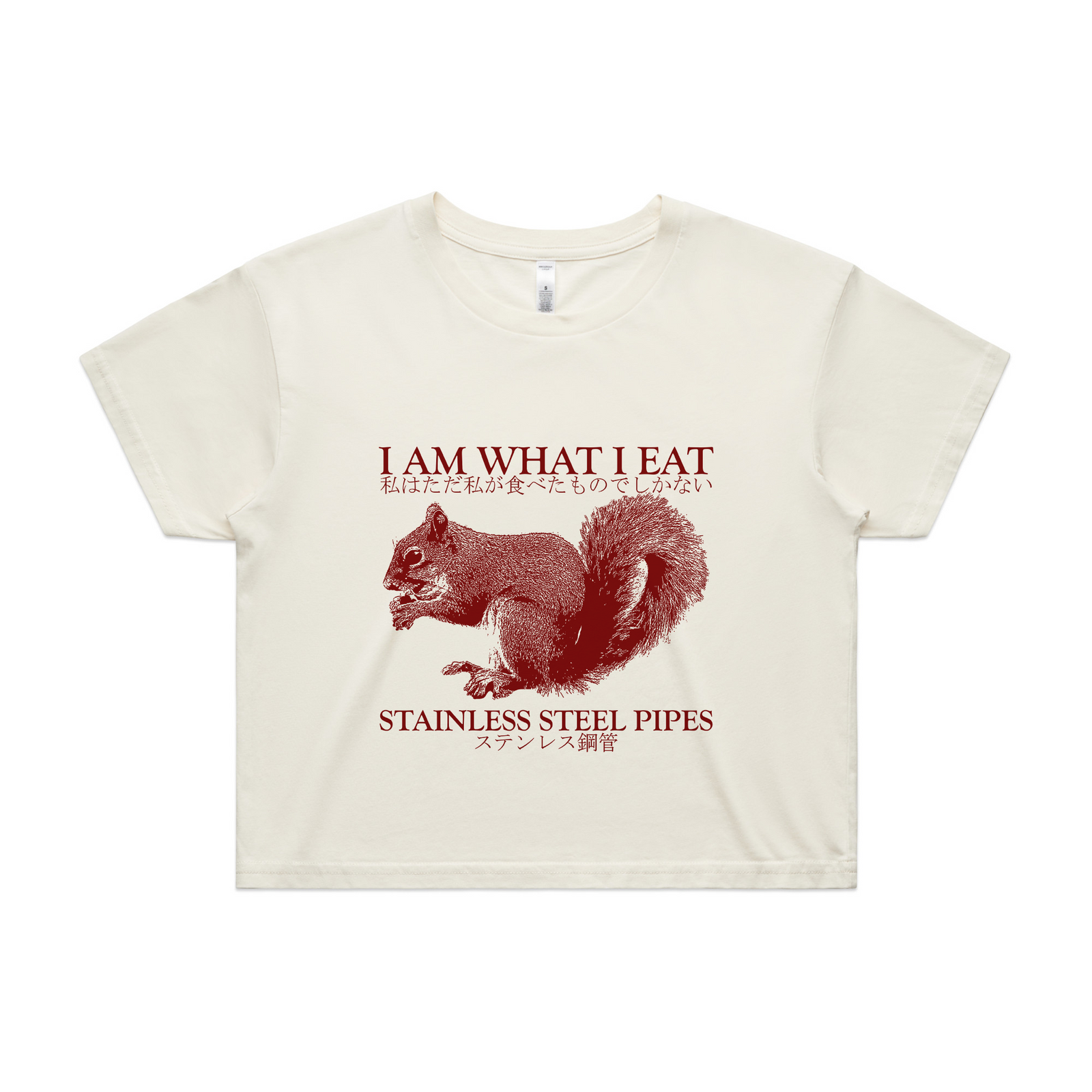 Stainless Steel Pipes Tee