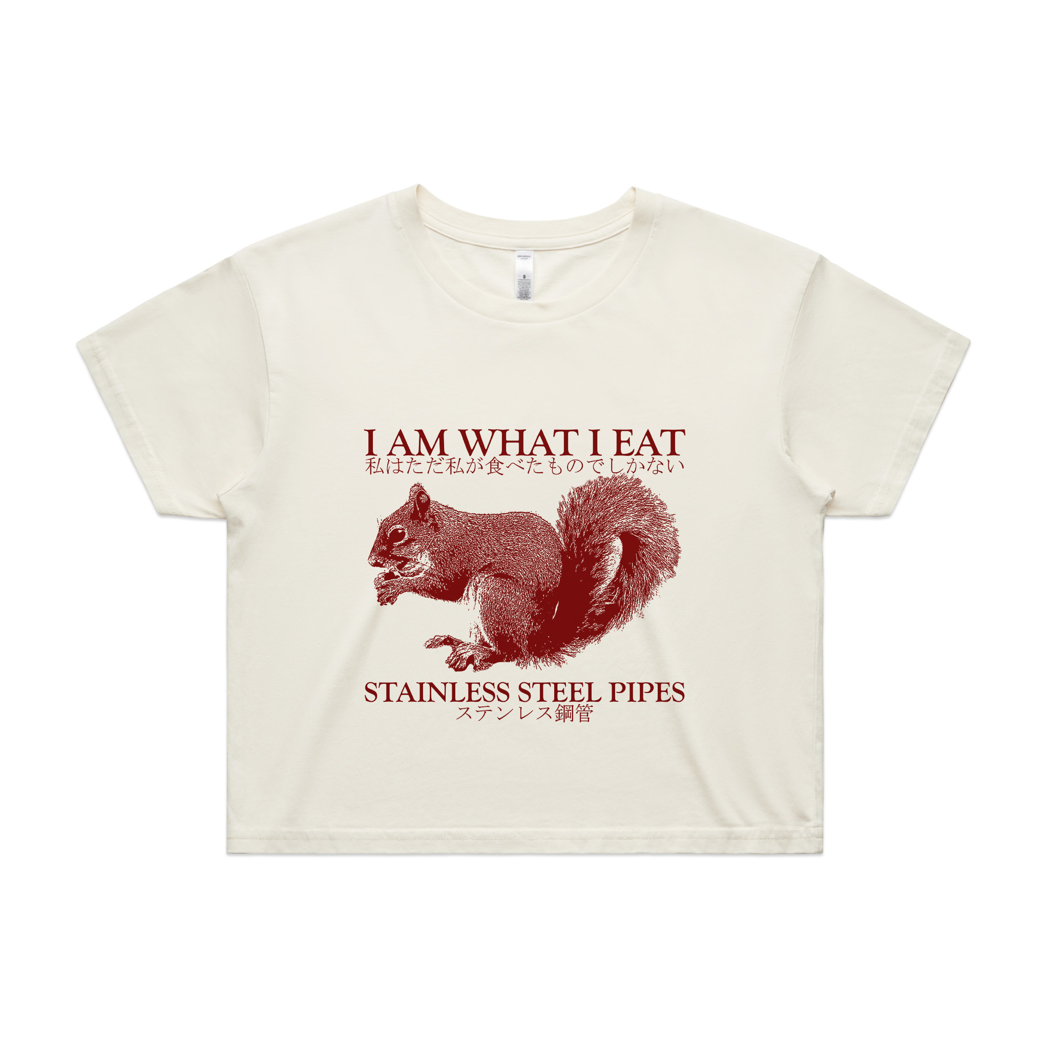 Stainless Steel Pipes Tee