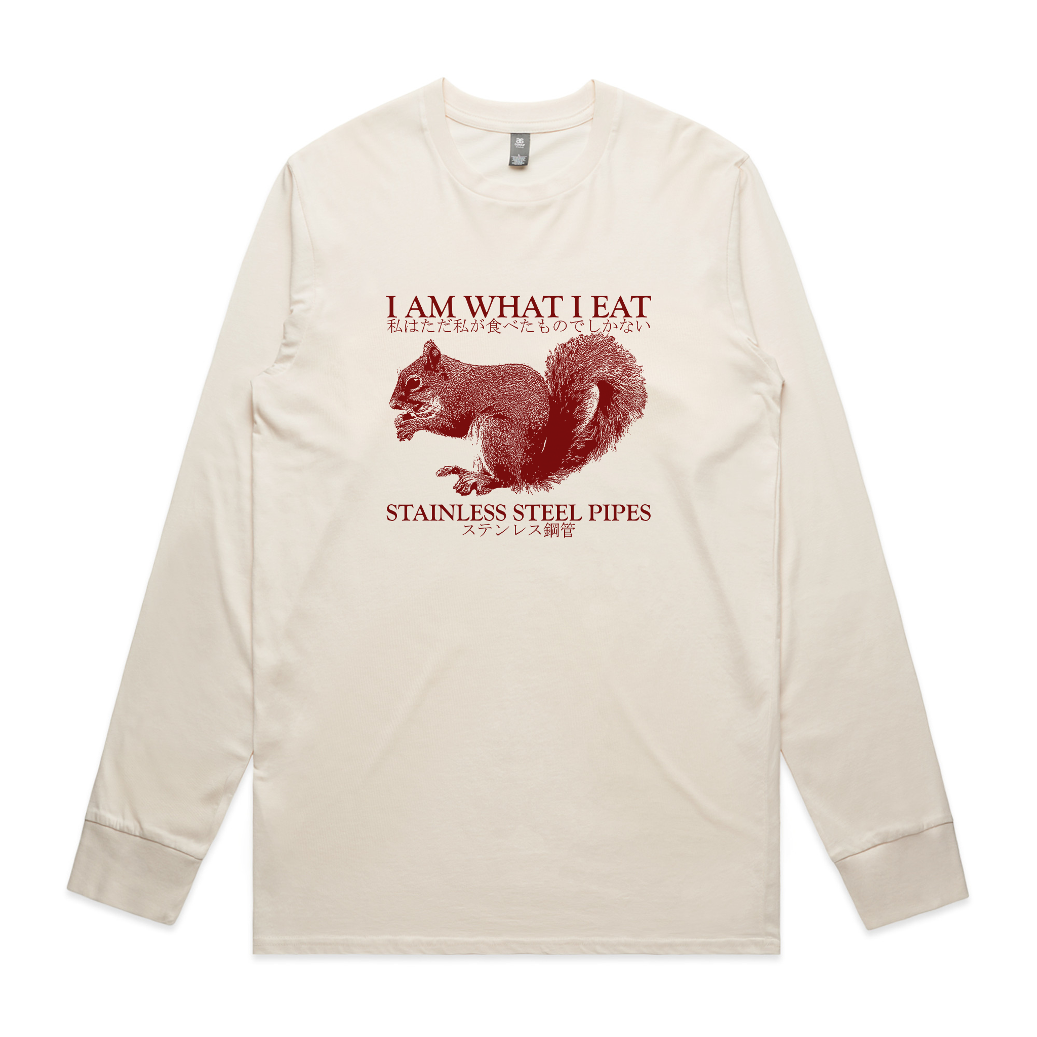 Stainless Steel Pipes Tee