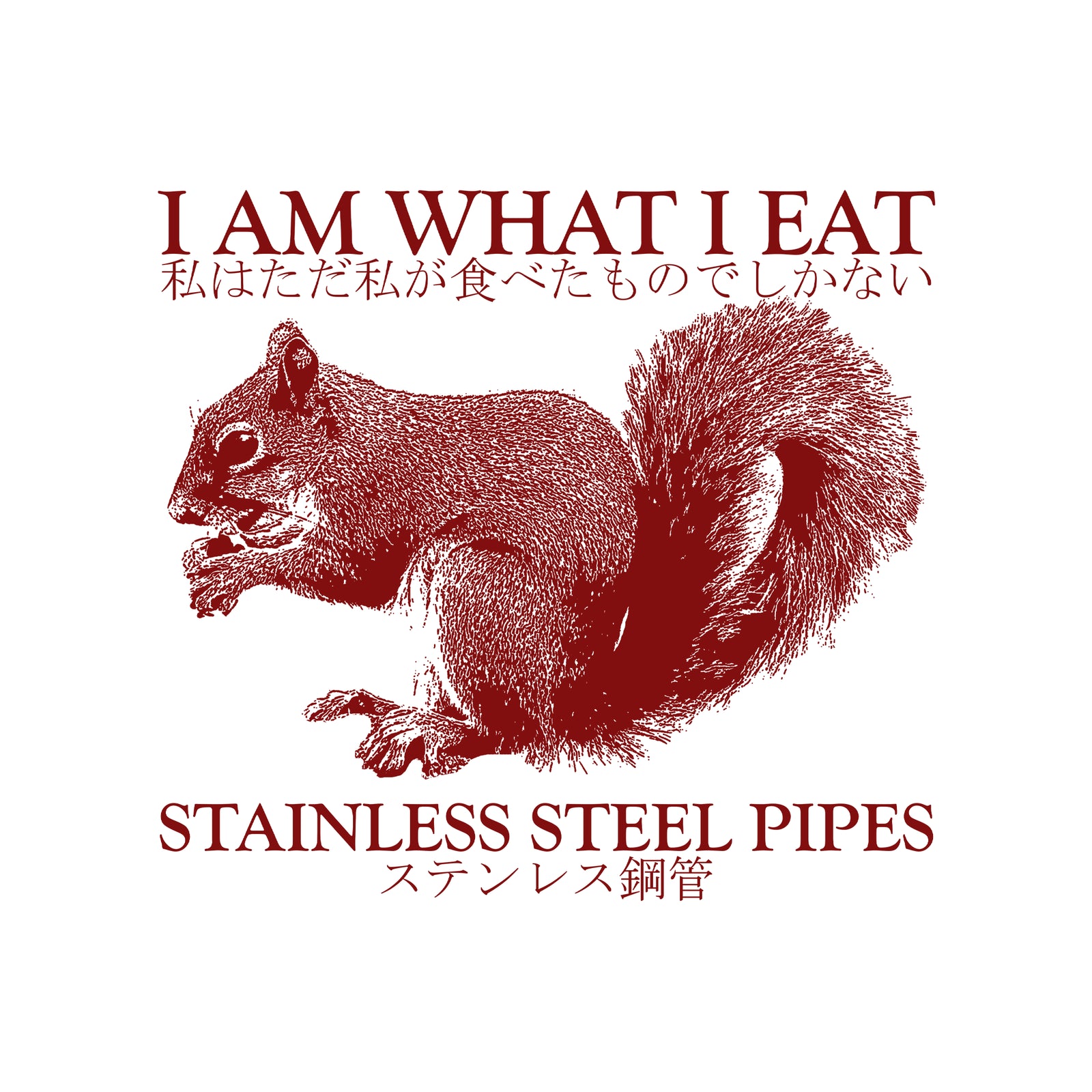 Stainless Steel Pipes Tee
