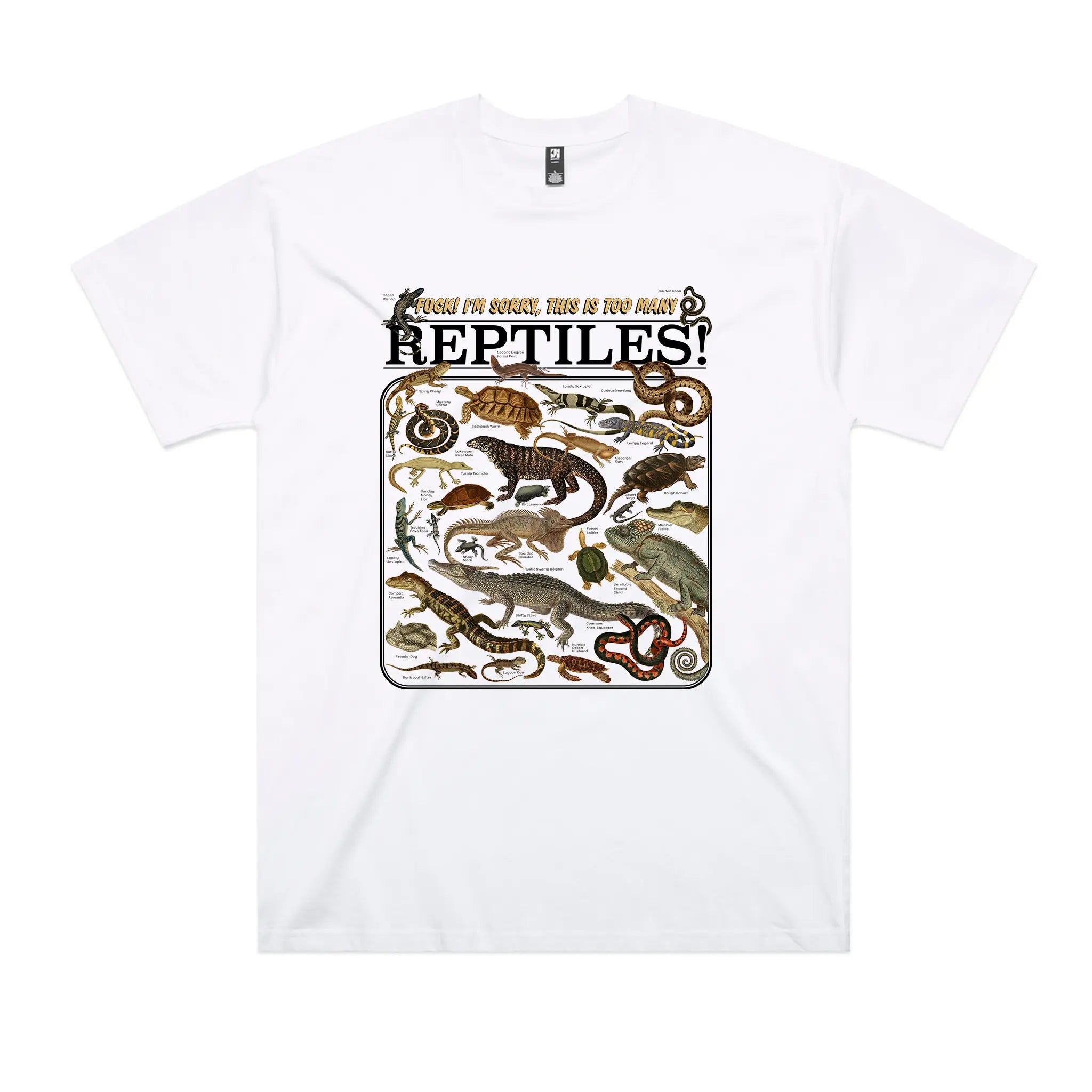 Too Many Reptiles Oversized Tee